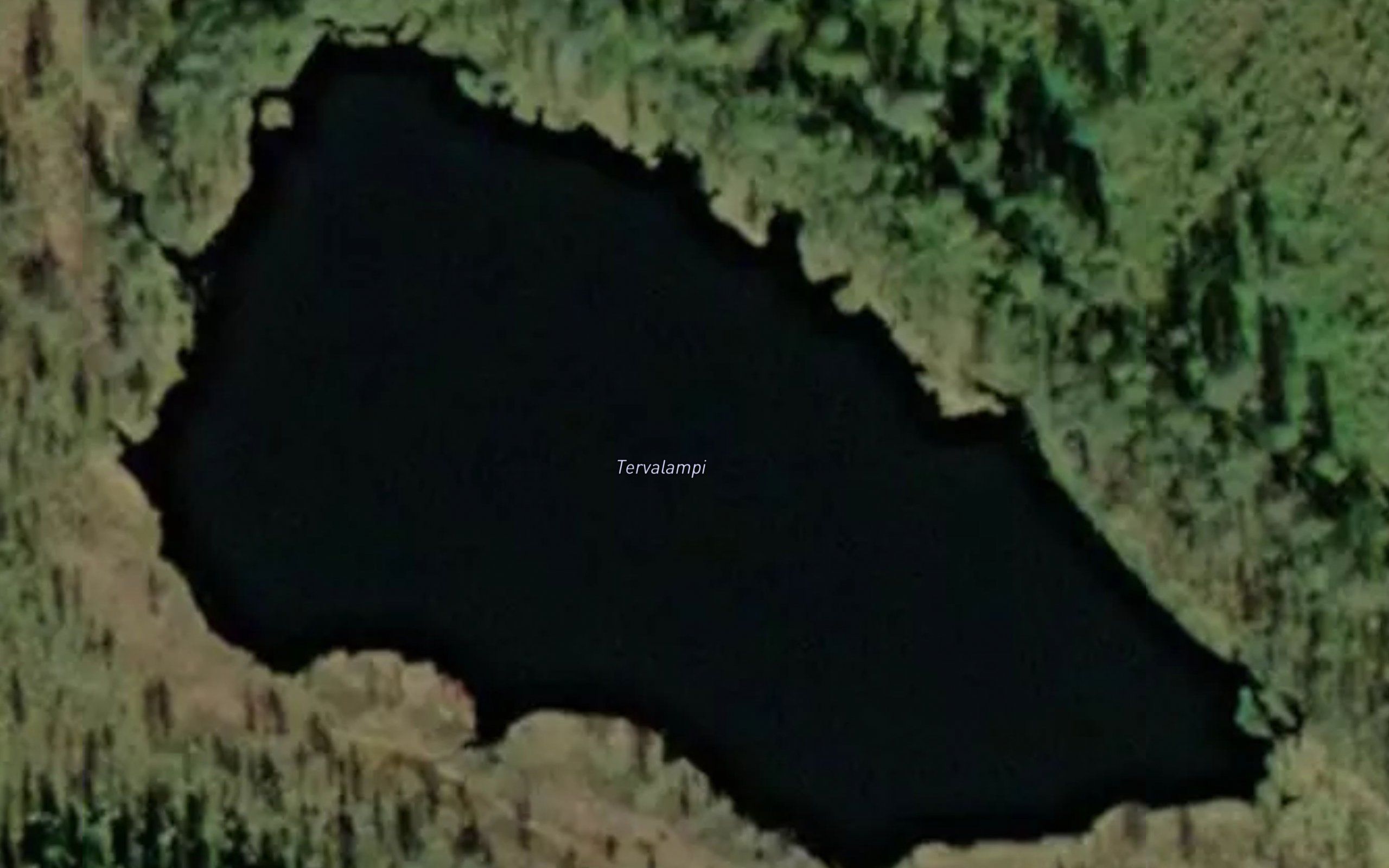 Tervalampi