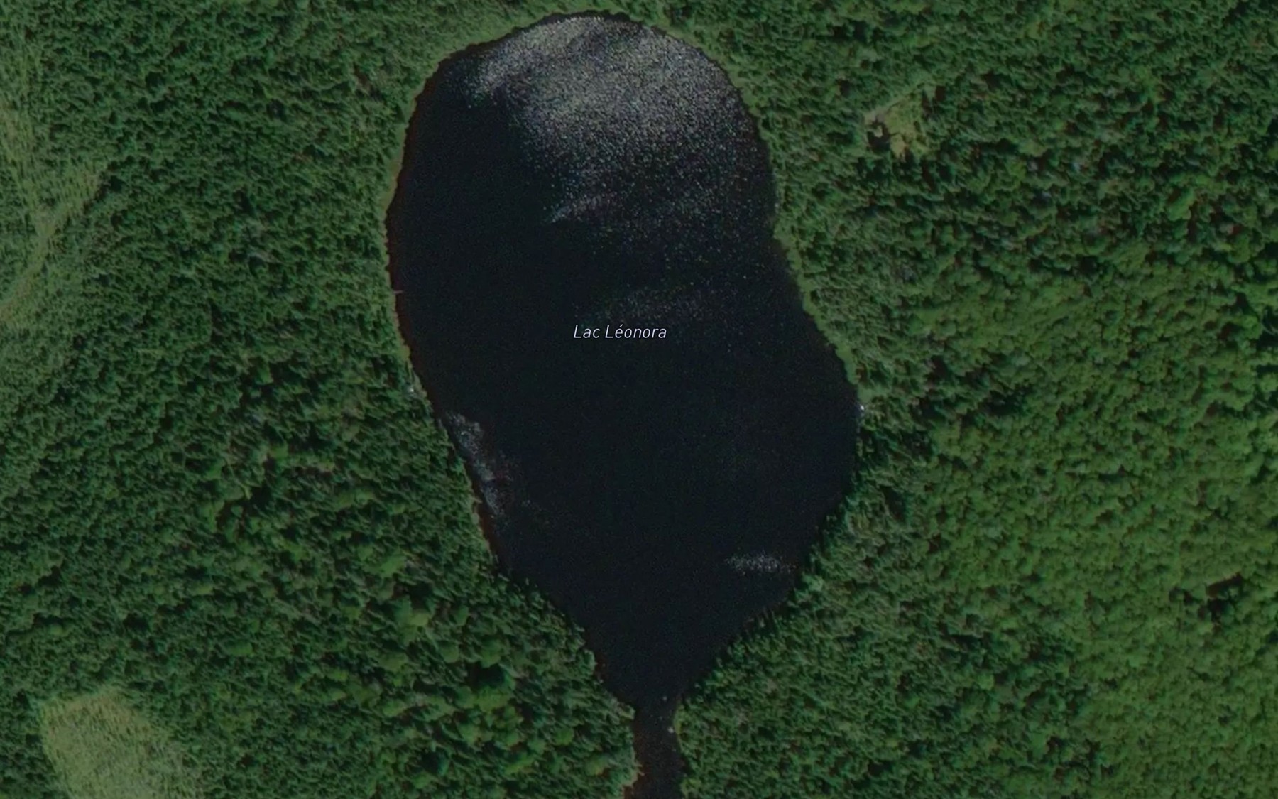 Satellite map of the Lac Leonora