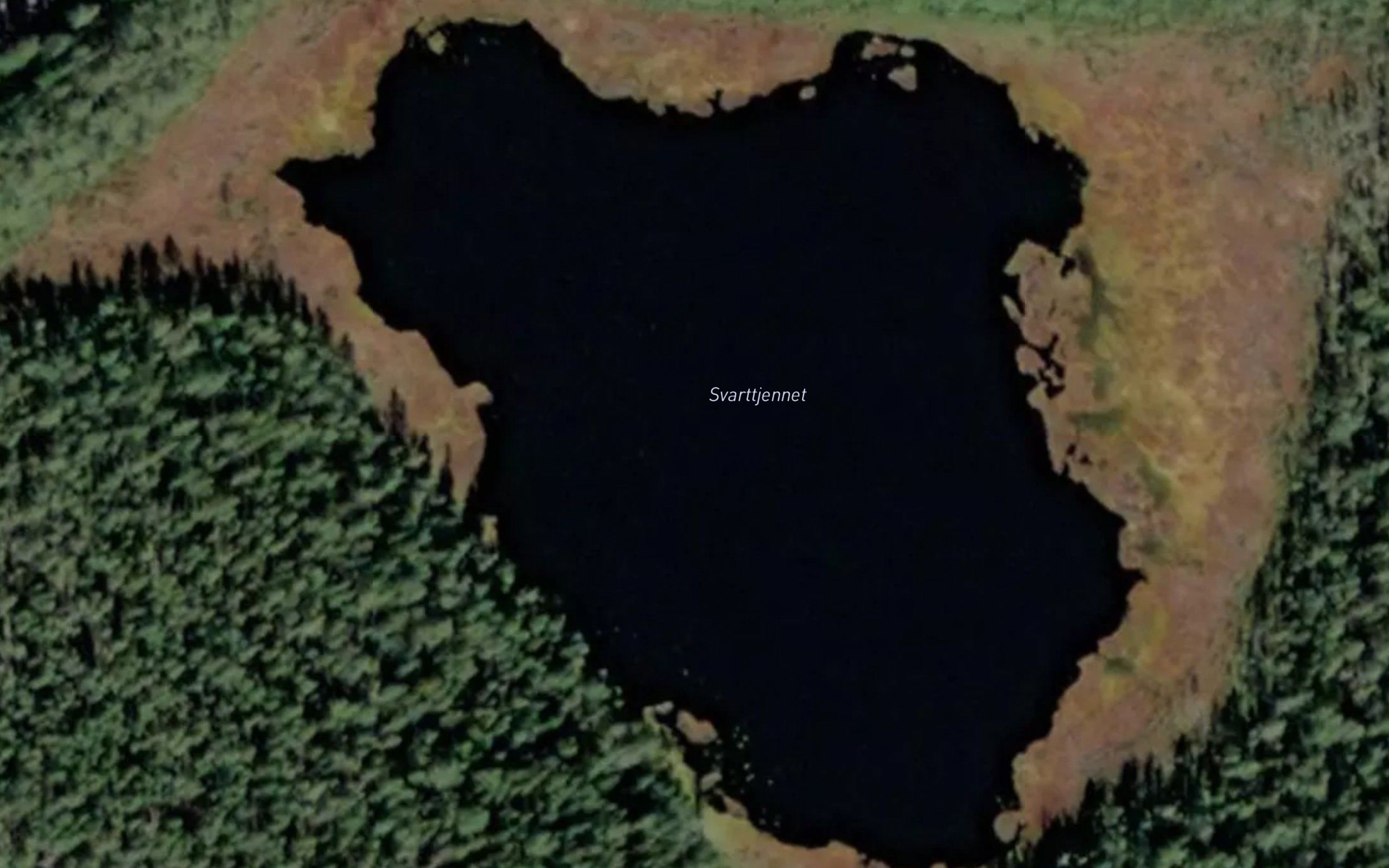 Svarttjernet