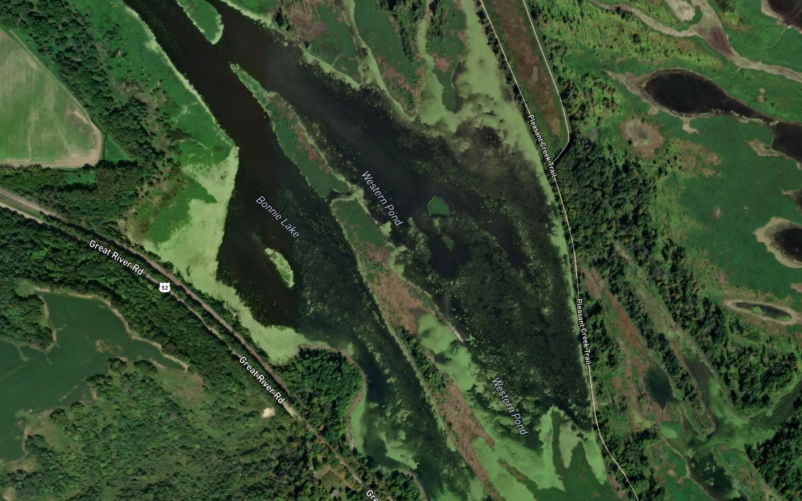 Western Pond