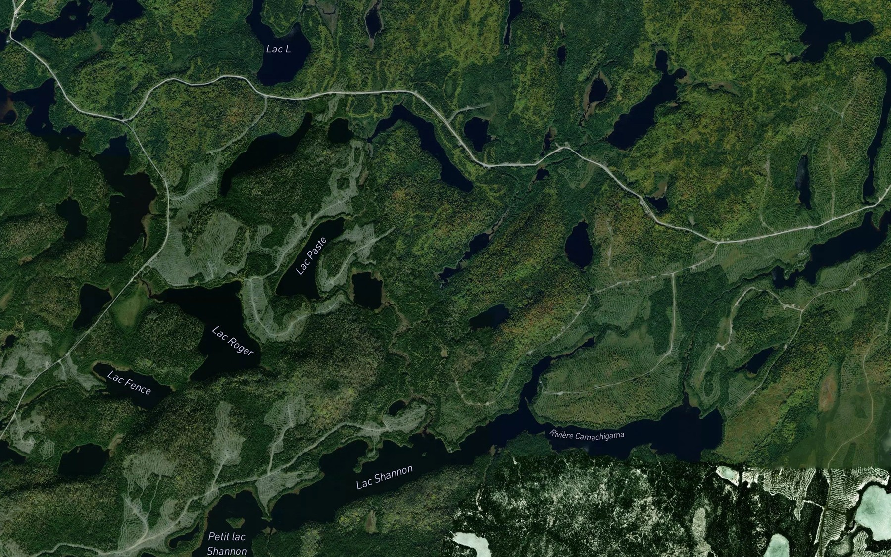 Satellite map of the Petit lac des Criquets