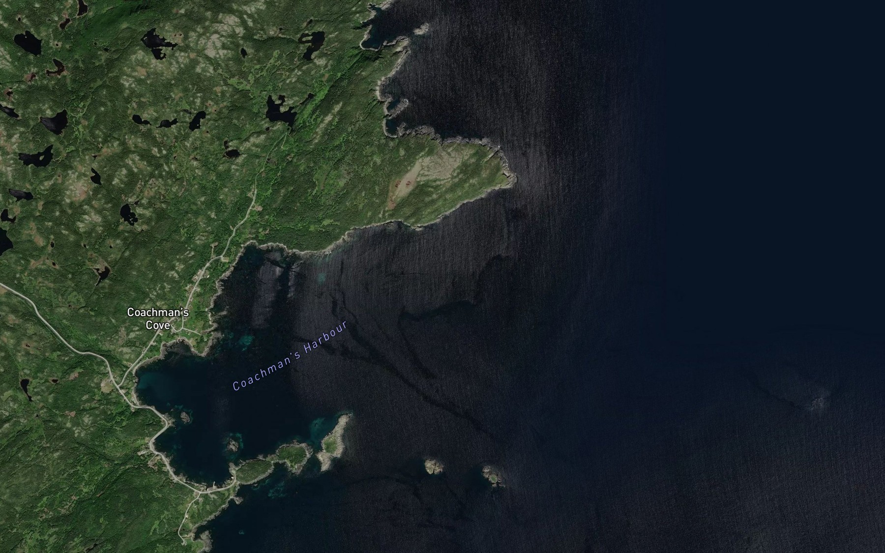 Satellite map of the Birchy Cove