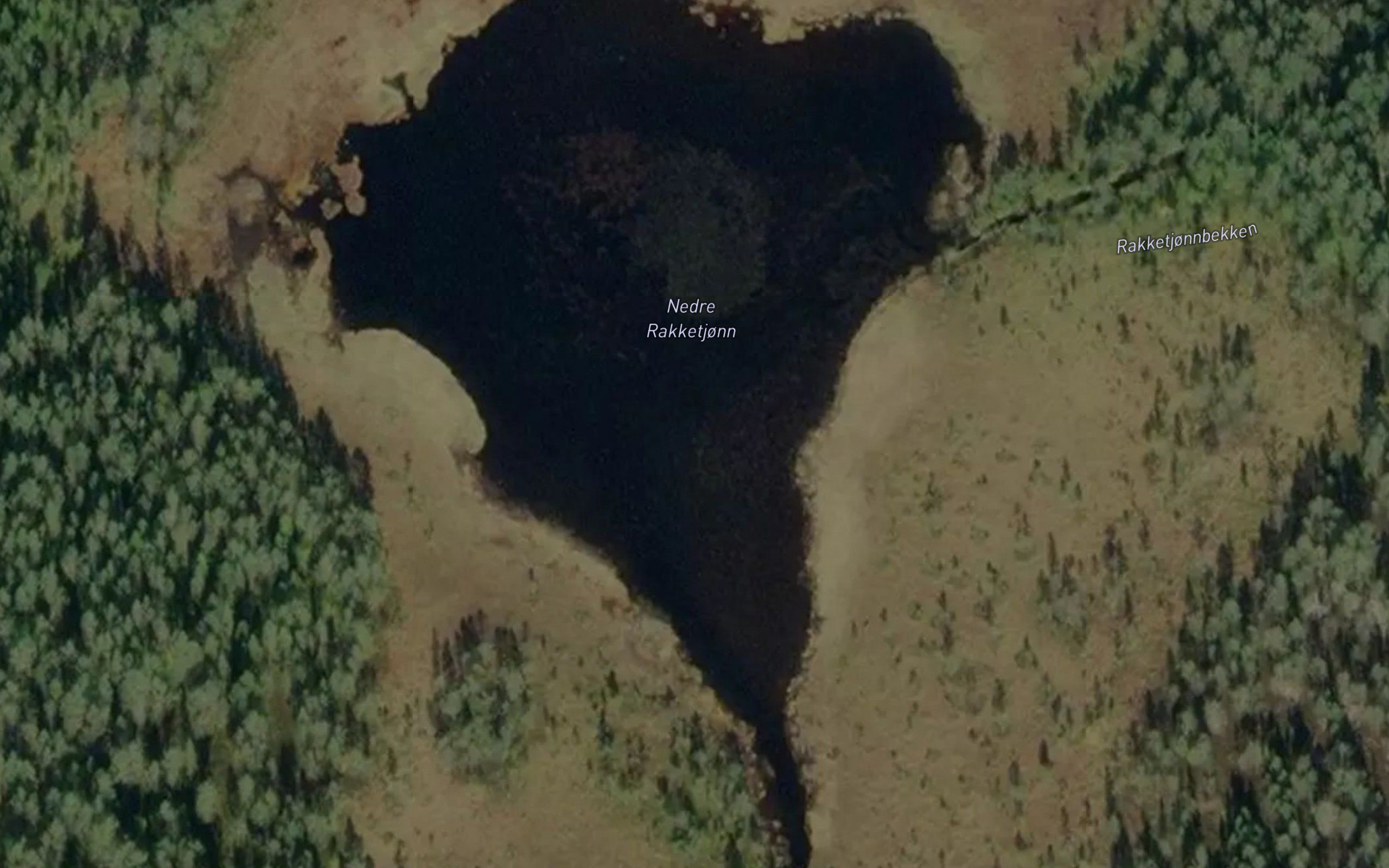 Rakketjorn,nedre
