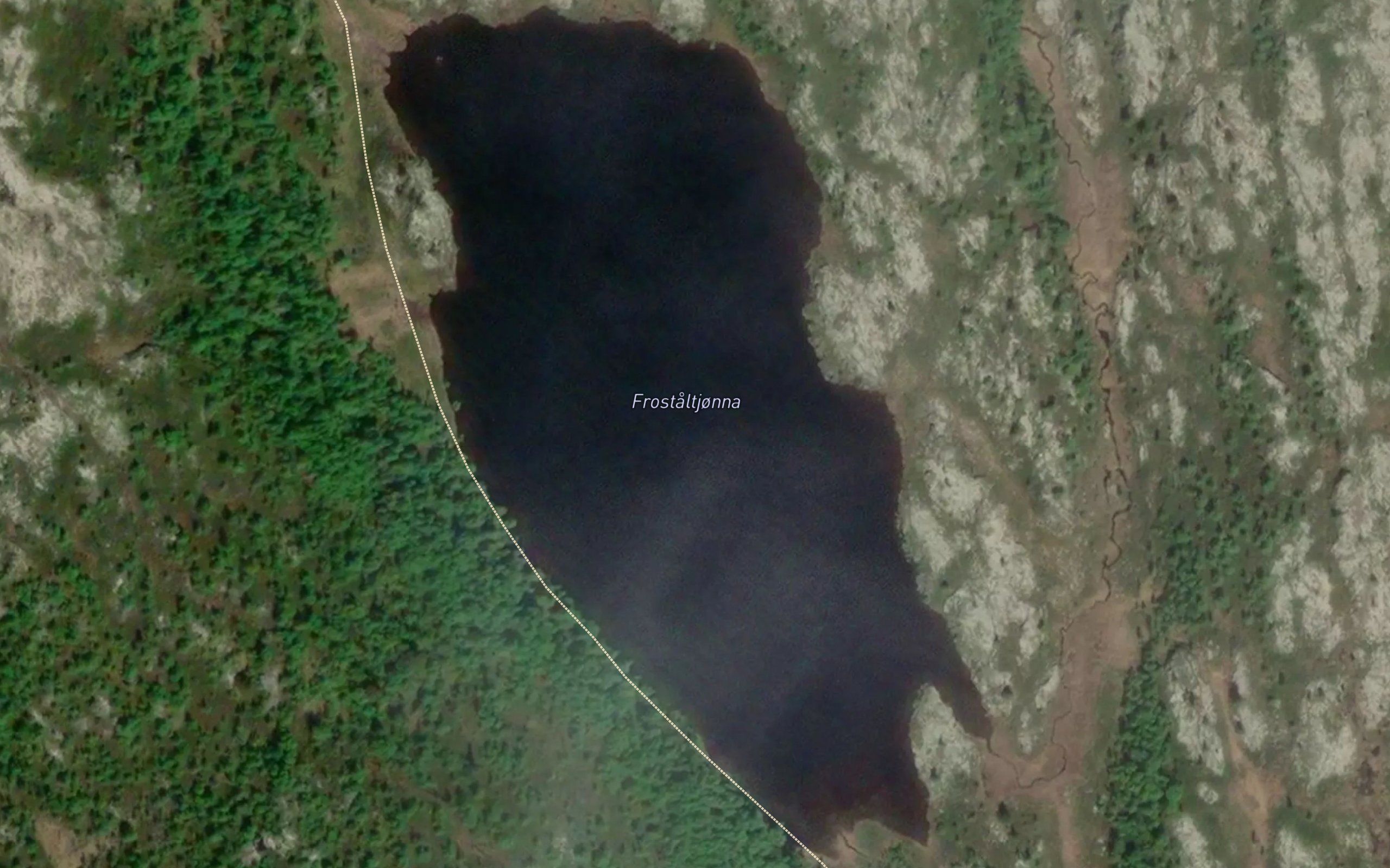 Frostaltjorna