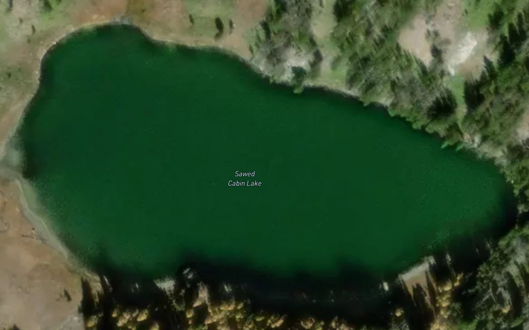 Satellite map of the Sawed Cabin Lake