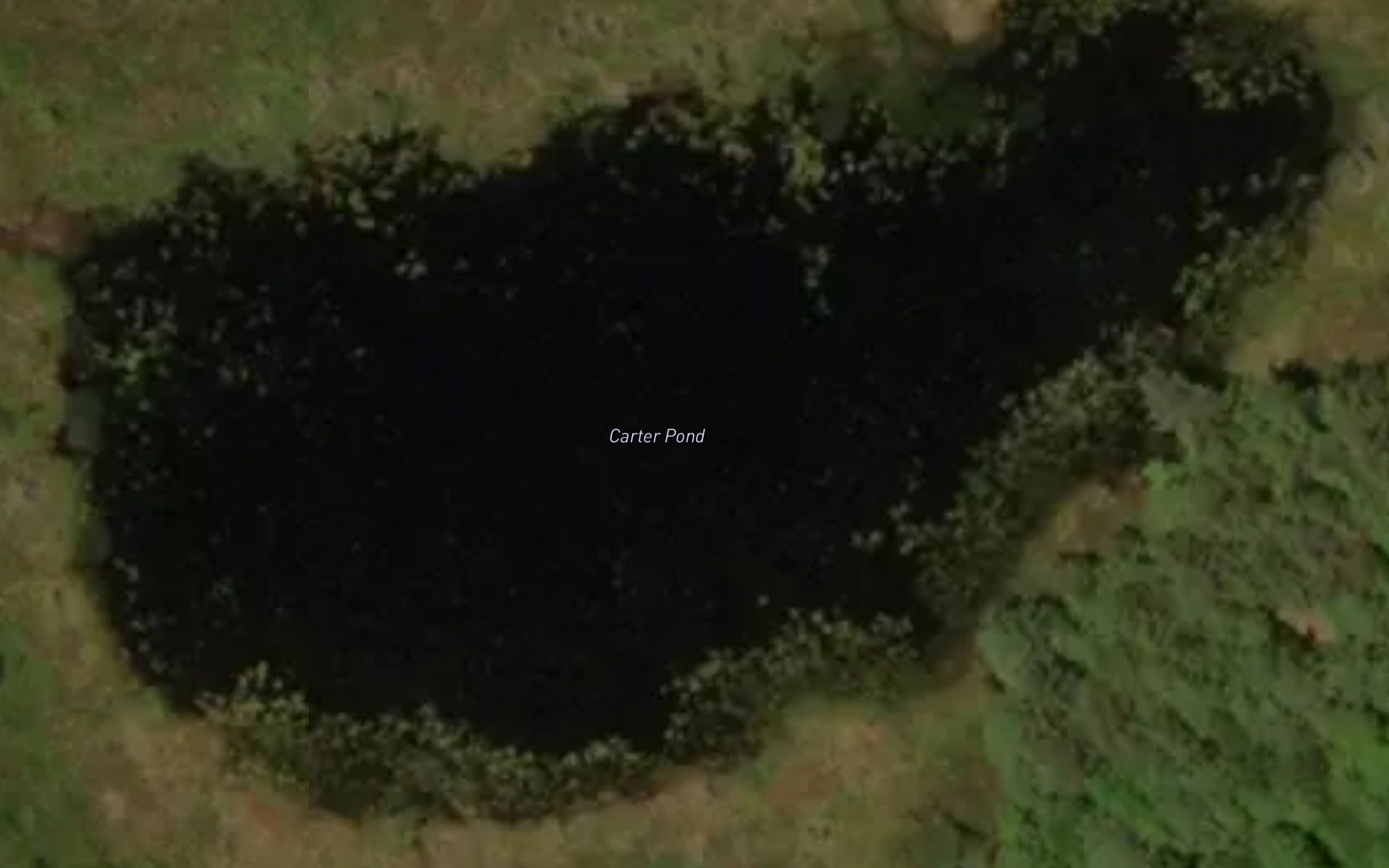 Carter Pond
