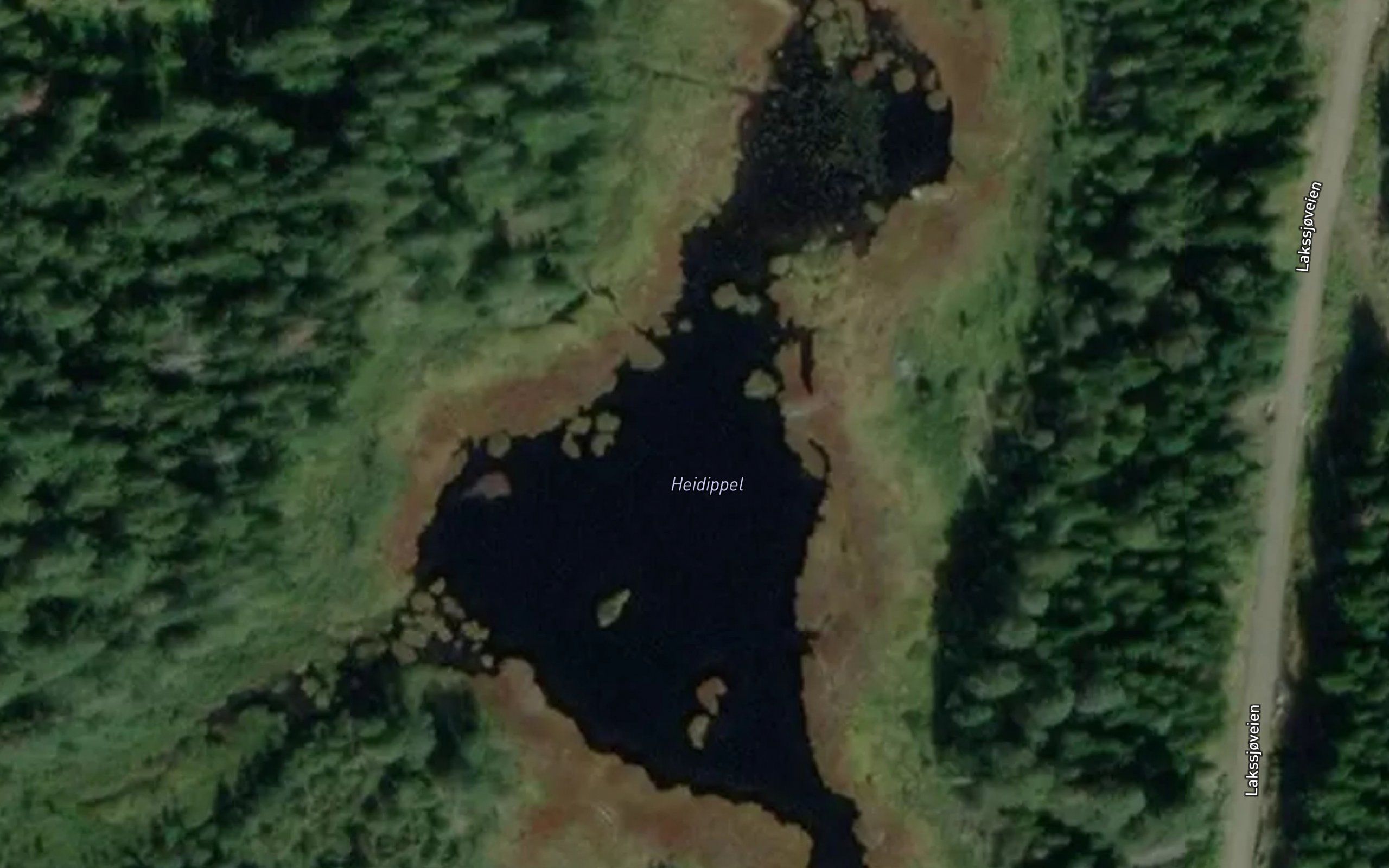 Heidippel