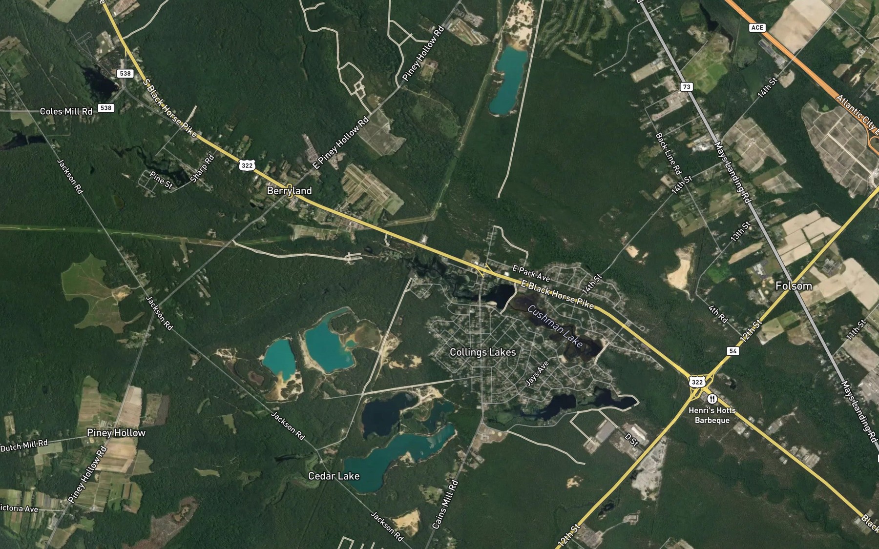 Satellite map of the Cains Mill Lake