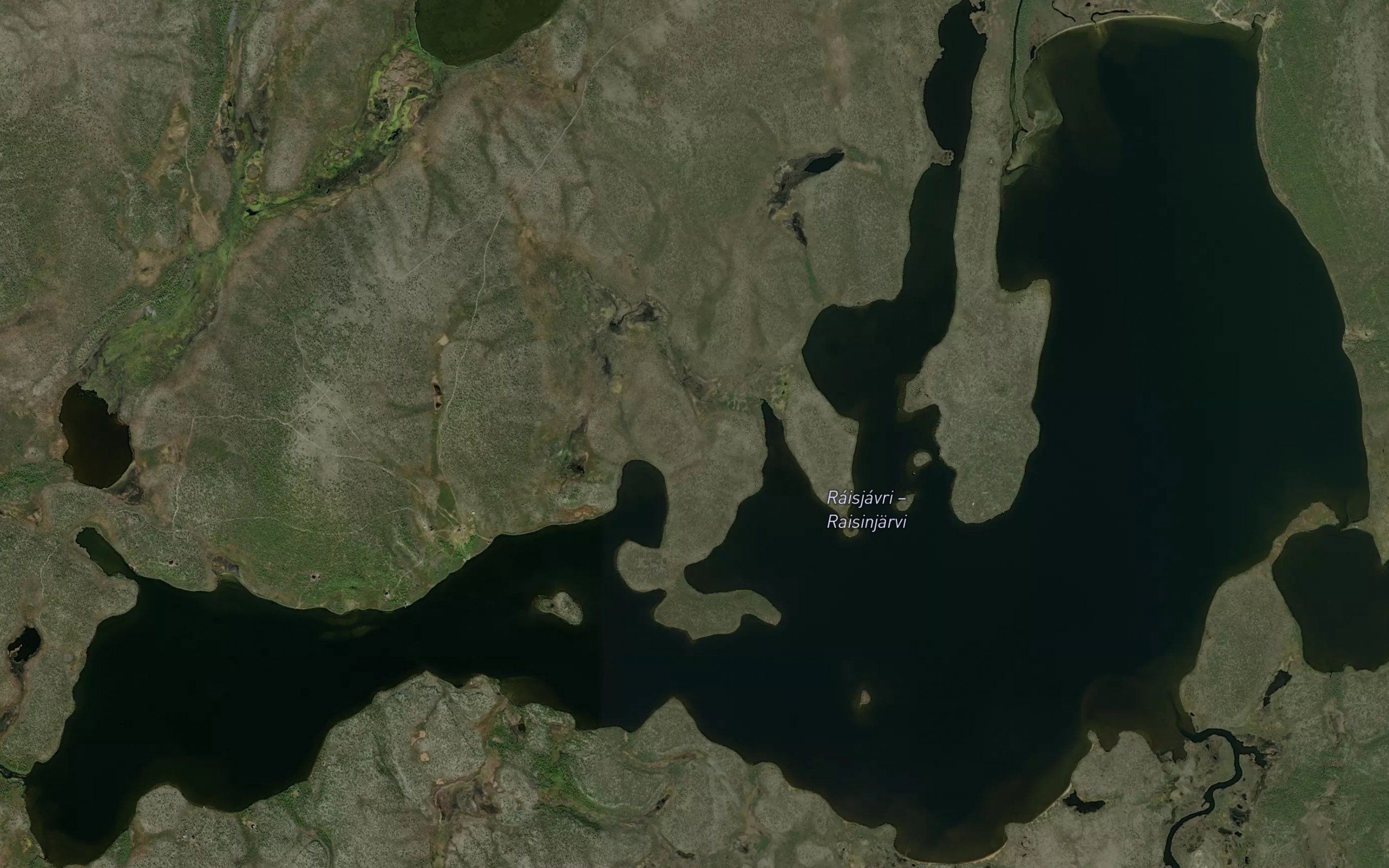 Raisjavri