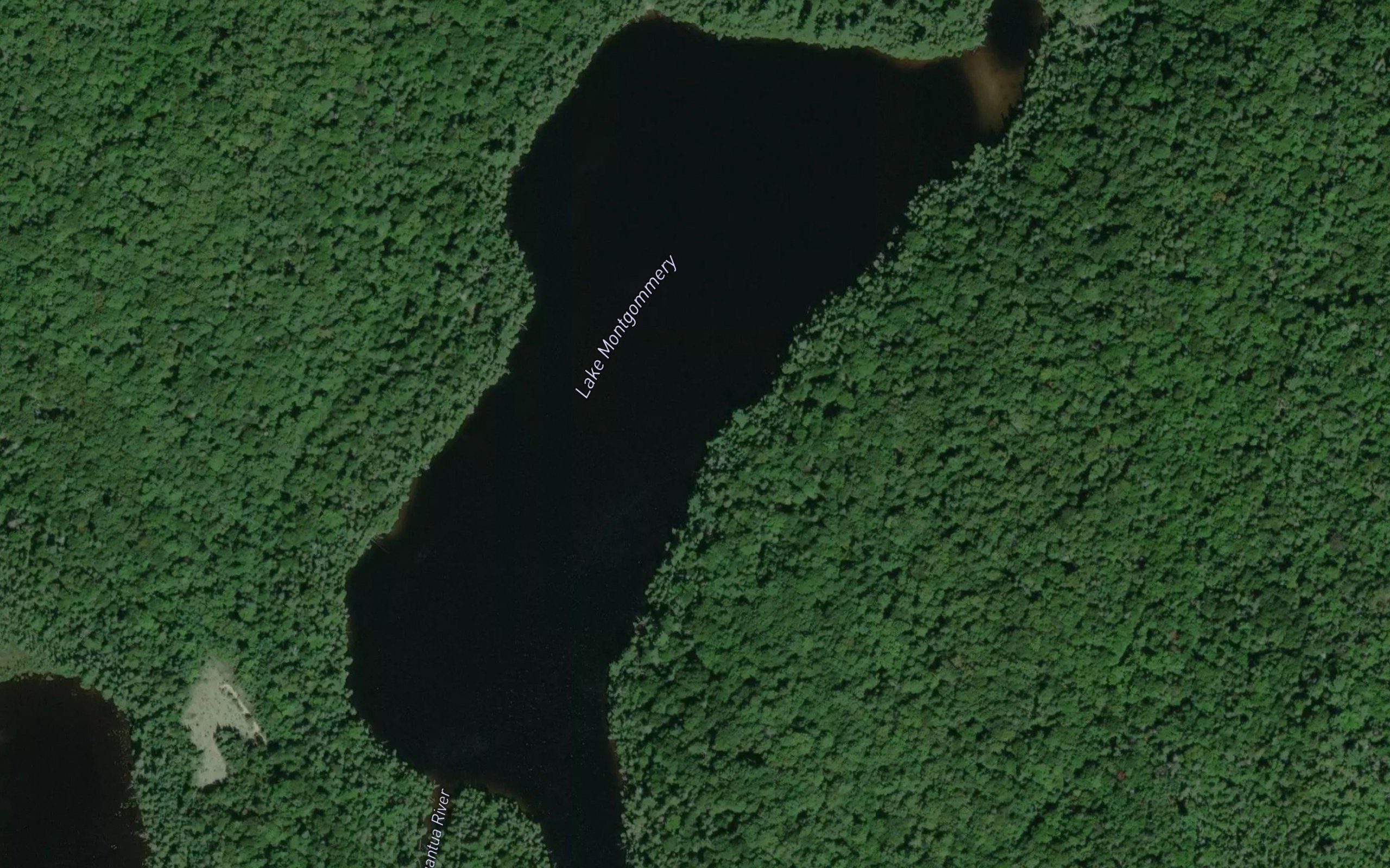 Lake Montgomery