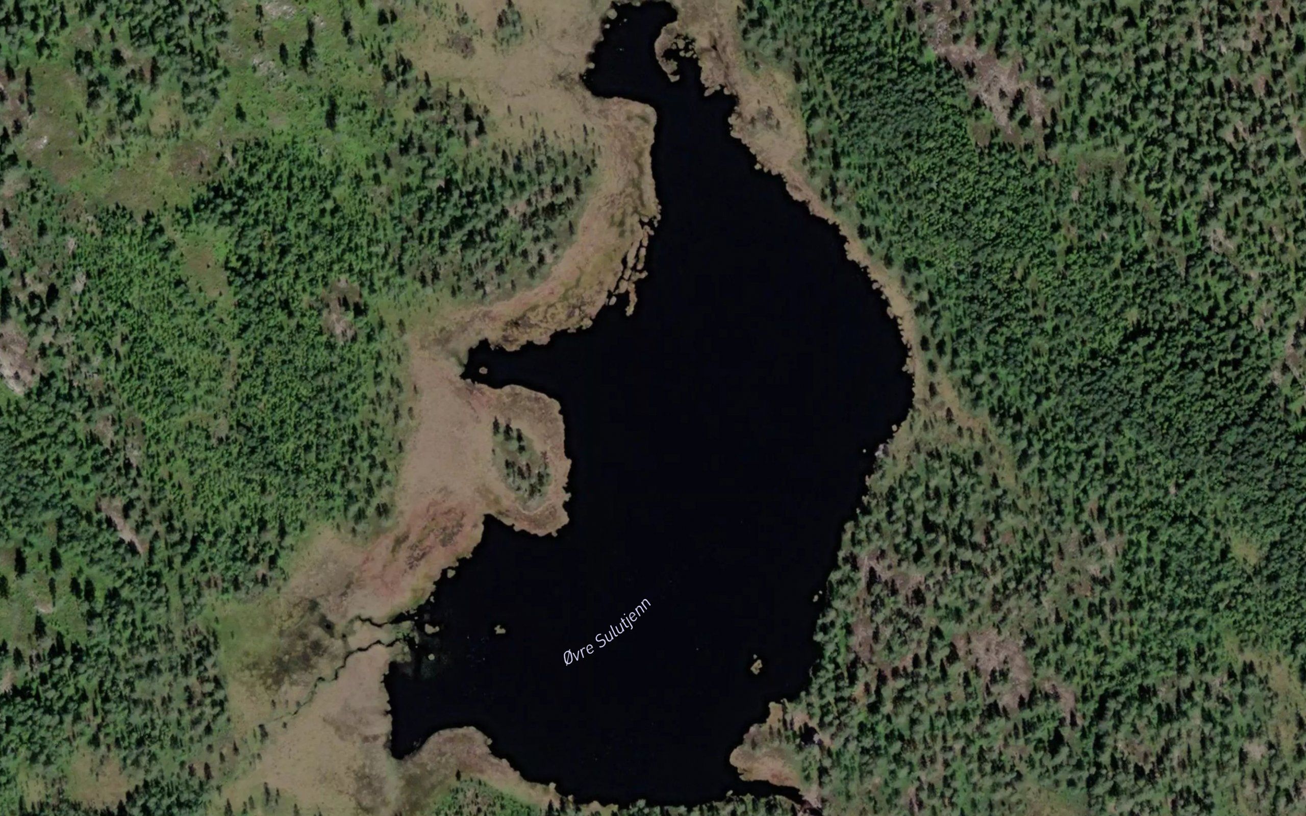 Sulutjerna