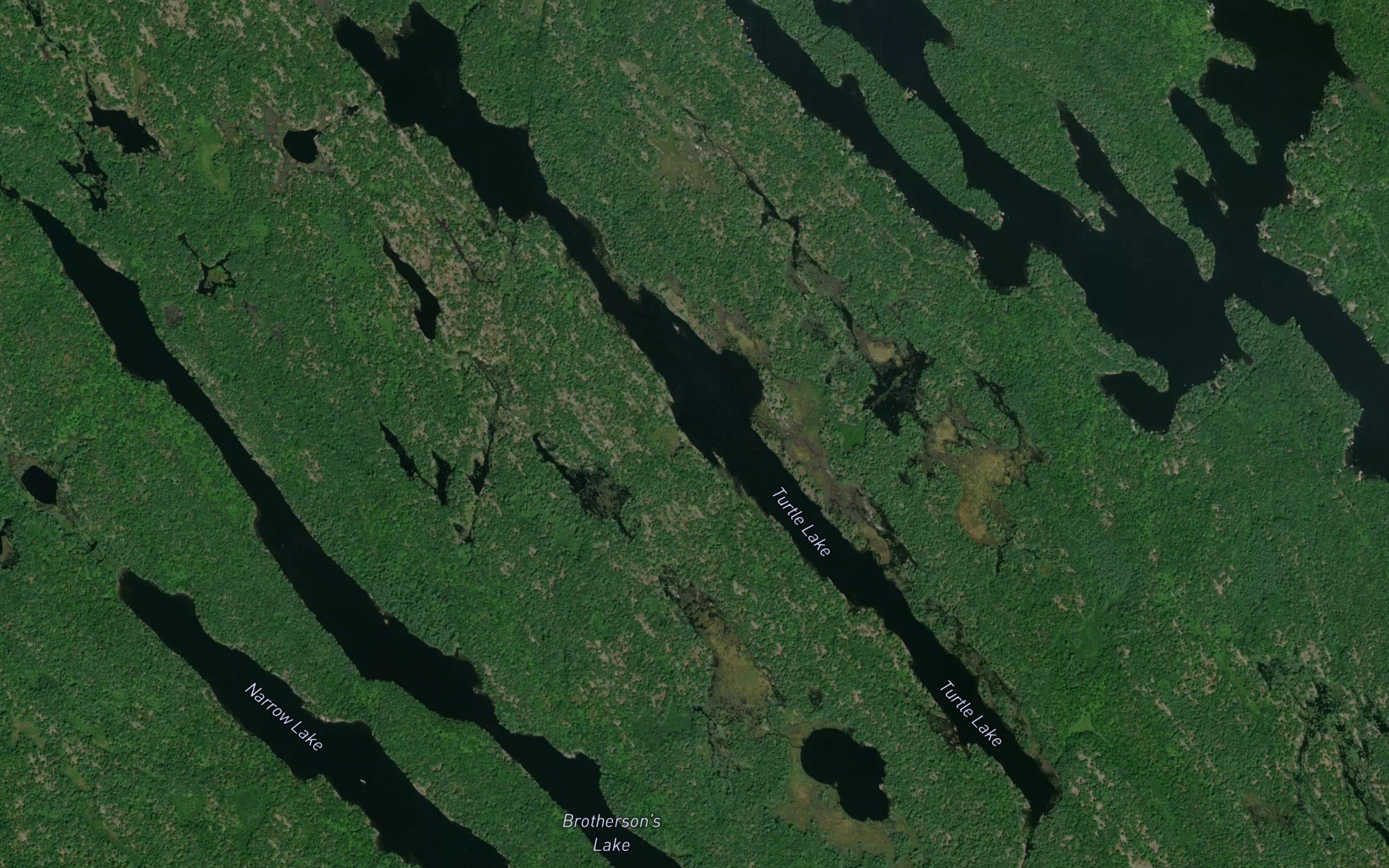 Turtle Lake