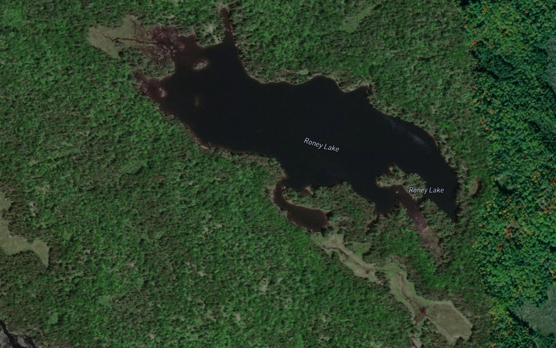 Satellite map of the Roney Lake