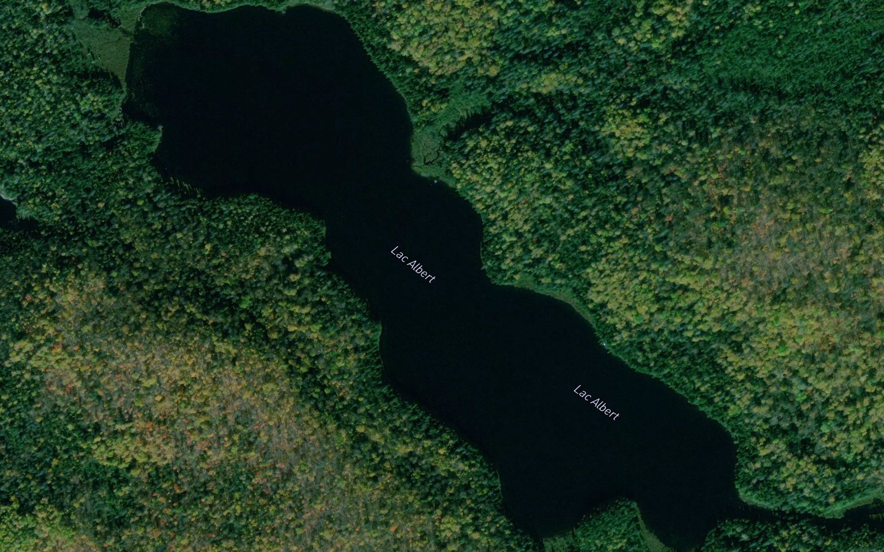 Satellite map of the Lac Albert