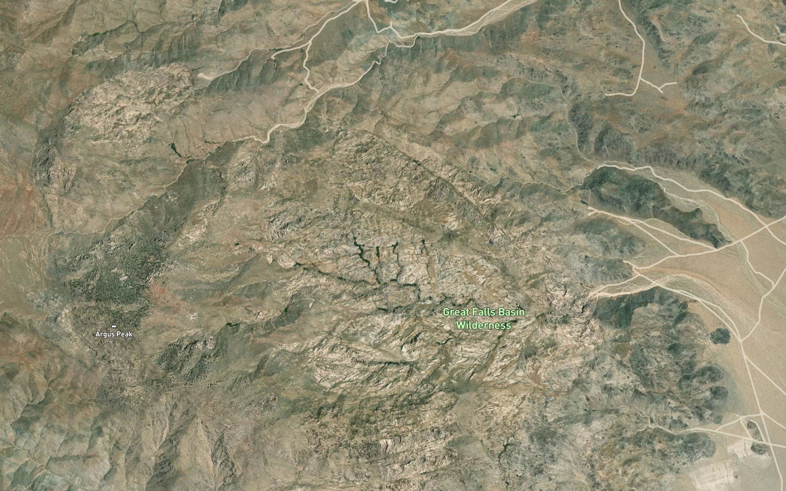 Elliot Spring