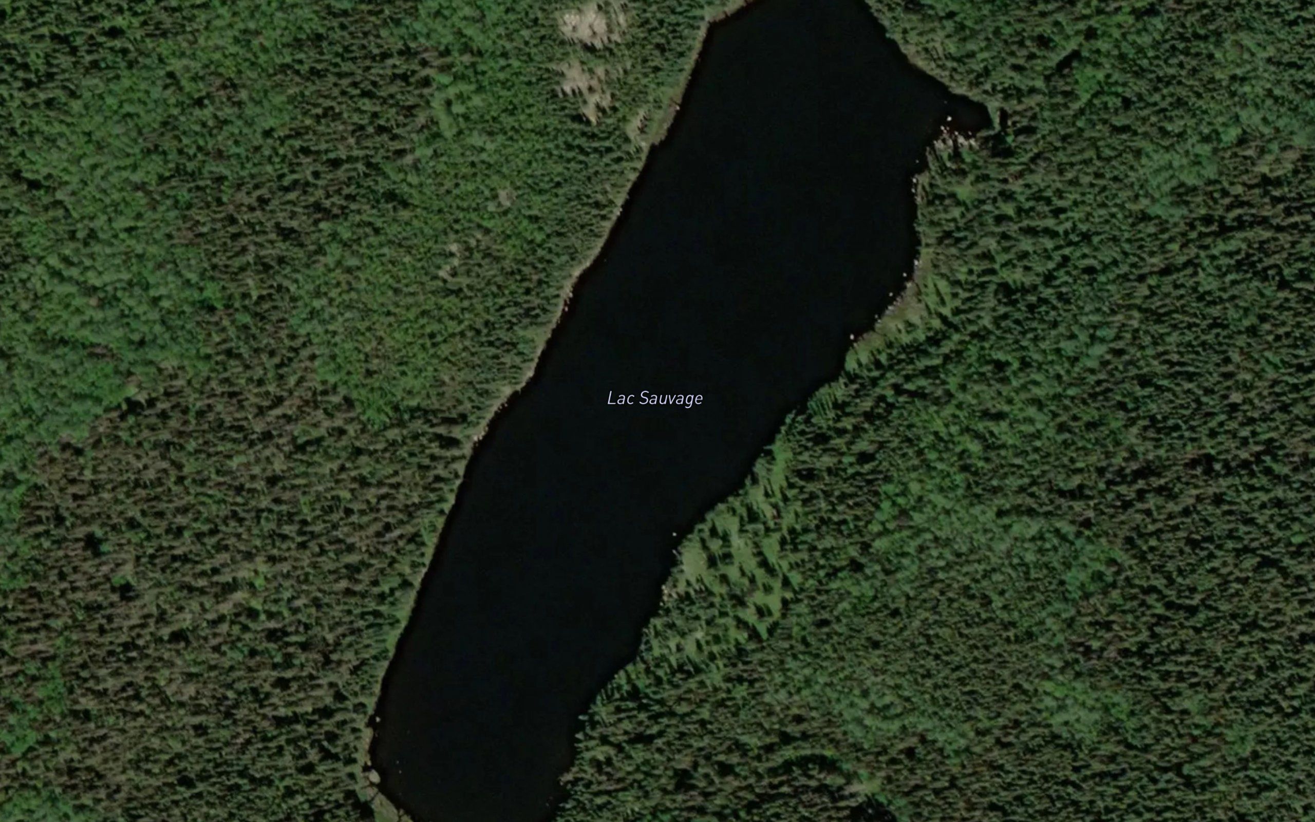 Lac Sauvage