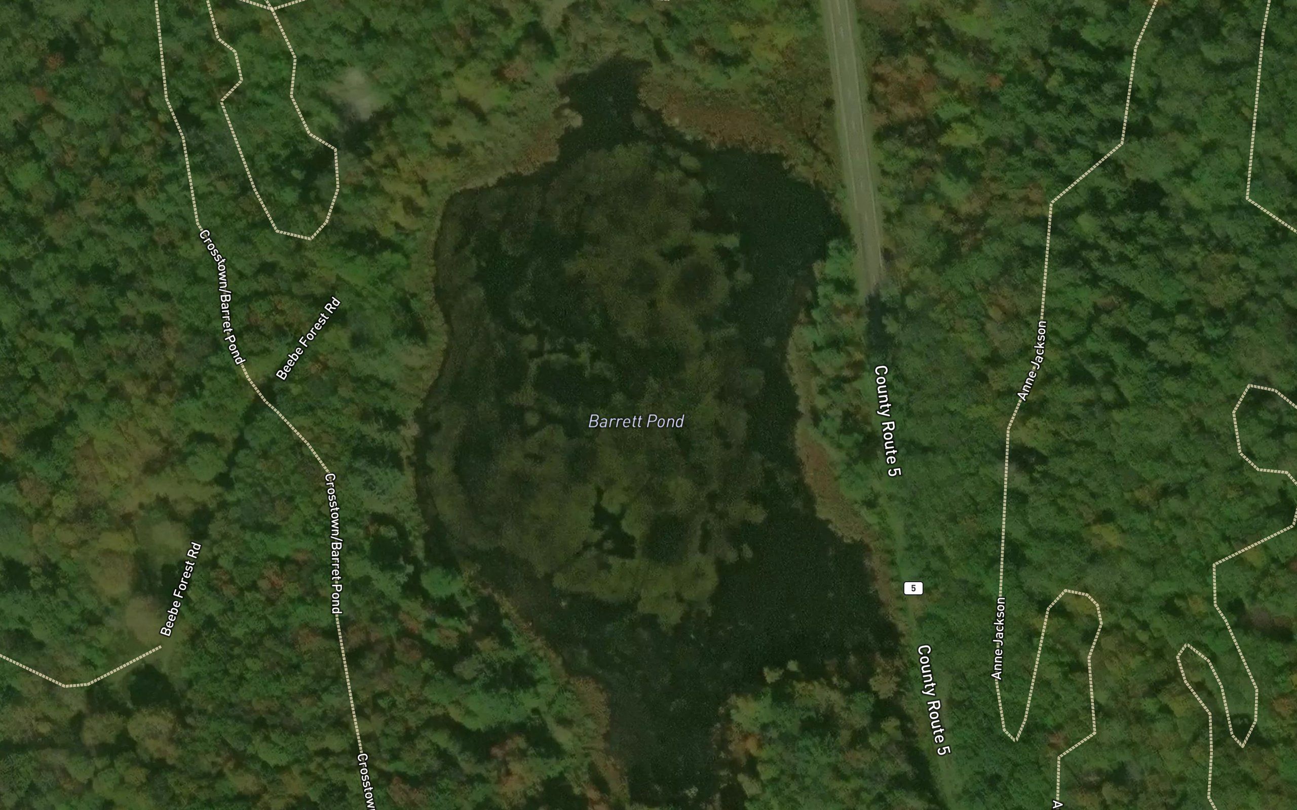 Barrett Pond