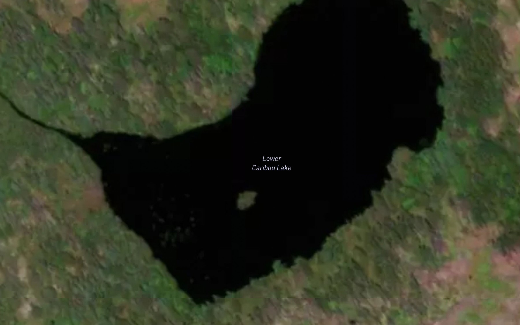 Satellite map of the Lower Caribou Lake