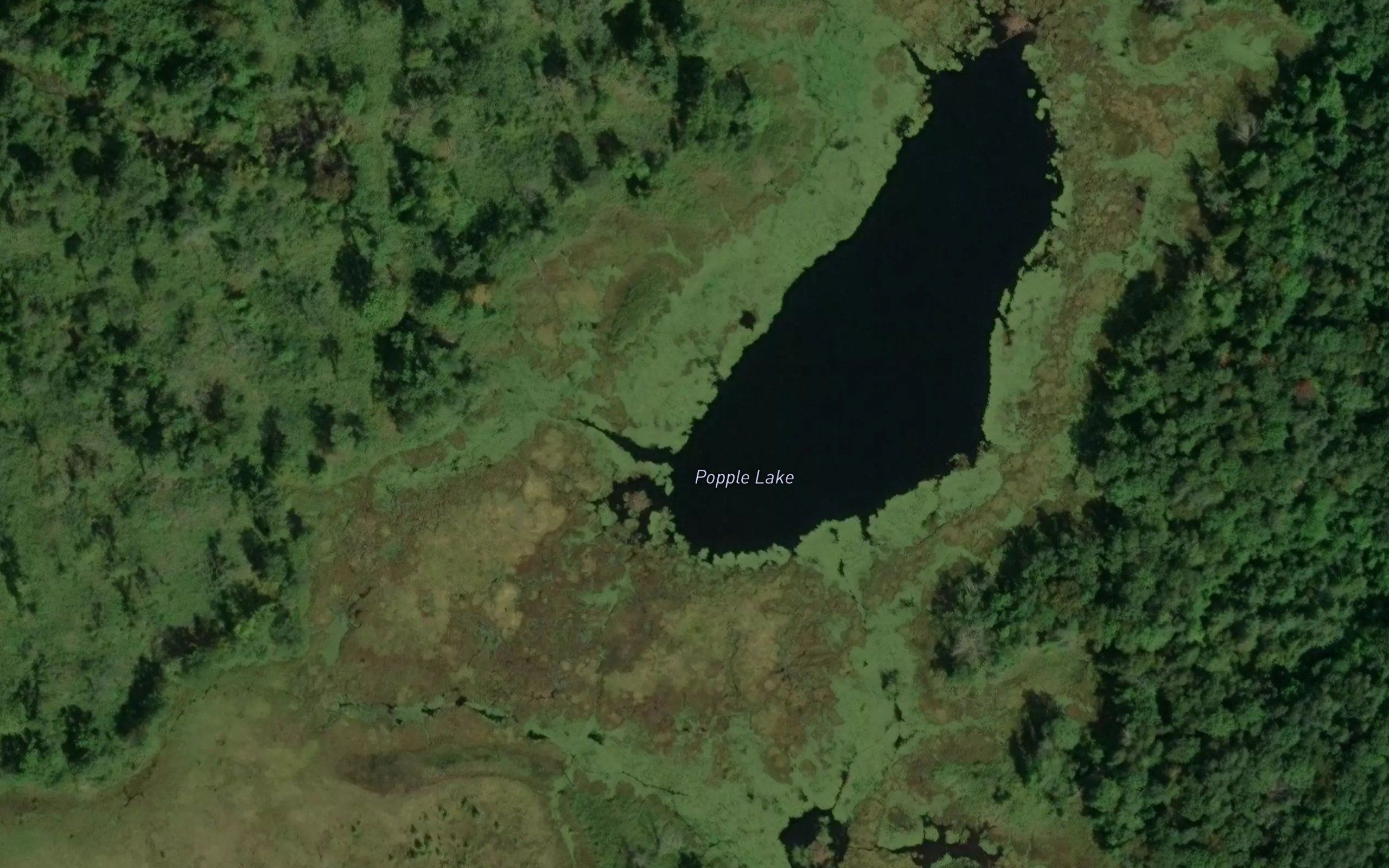 Popple Lake