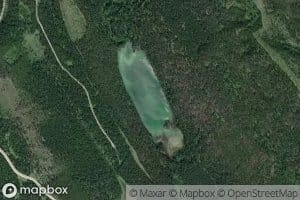 Martin Lake