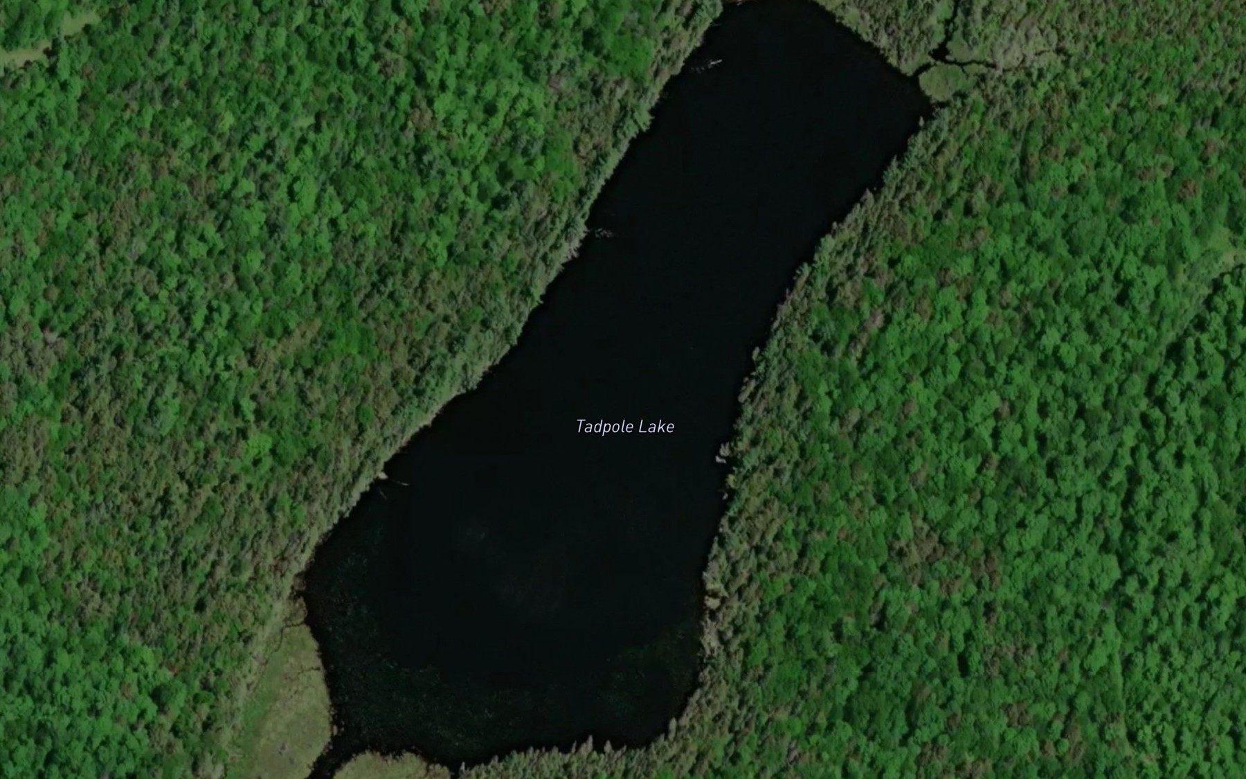 Satellite map of the Tadpole Lake