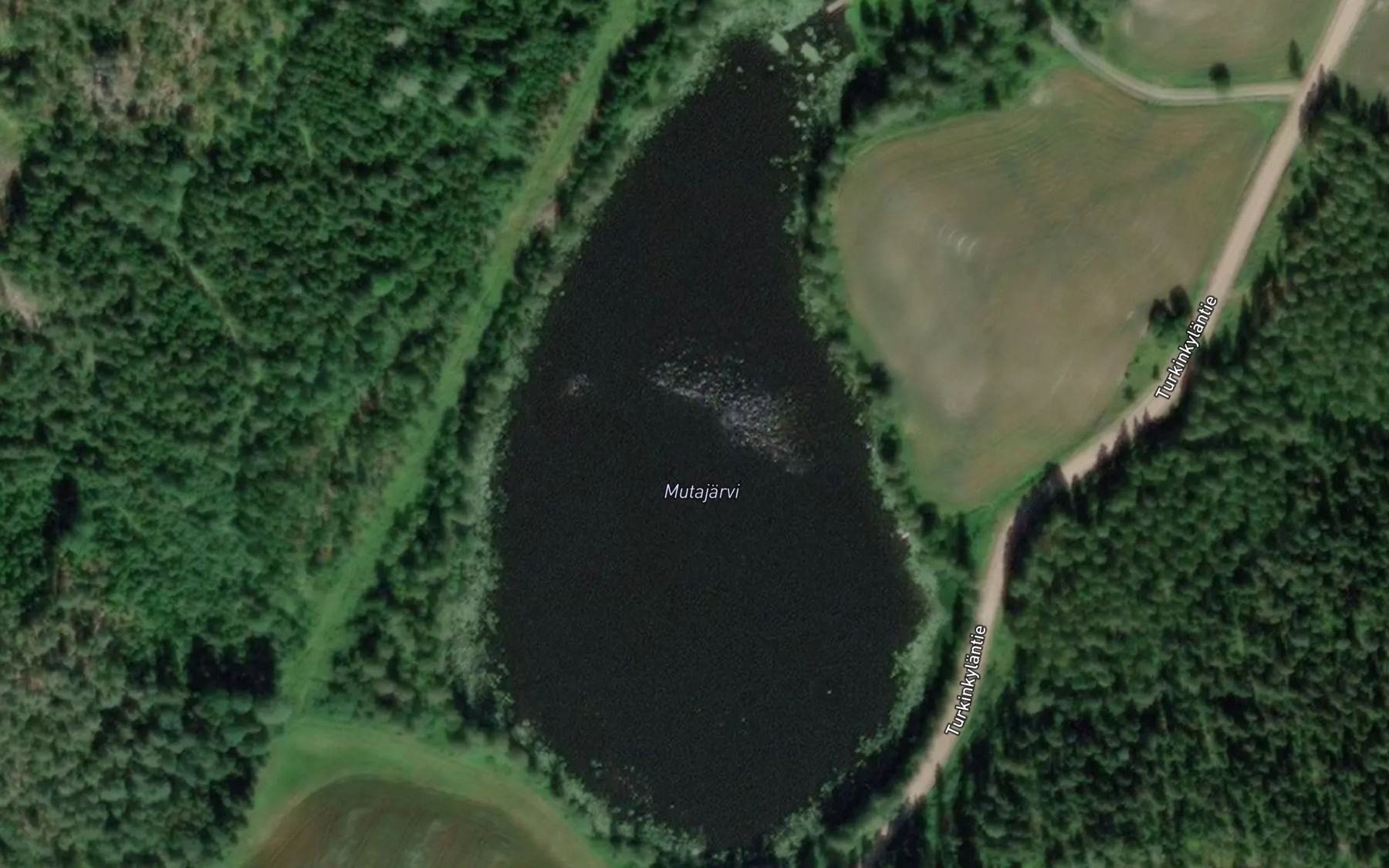 Satellite map of the Mutajarvi