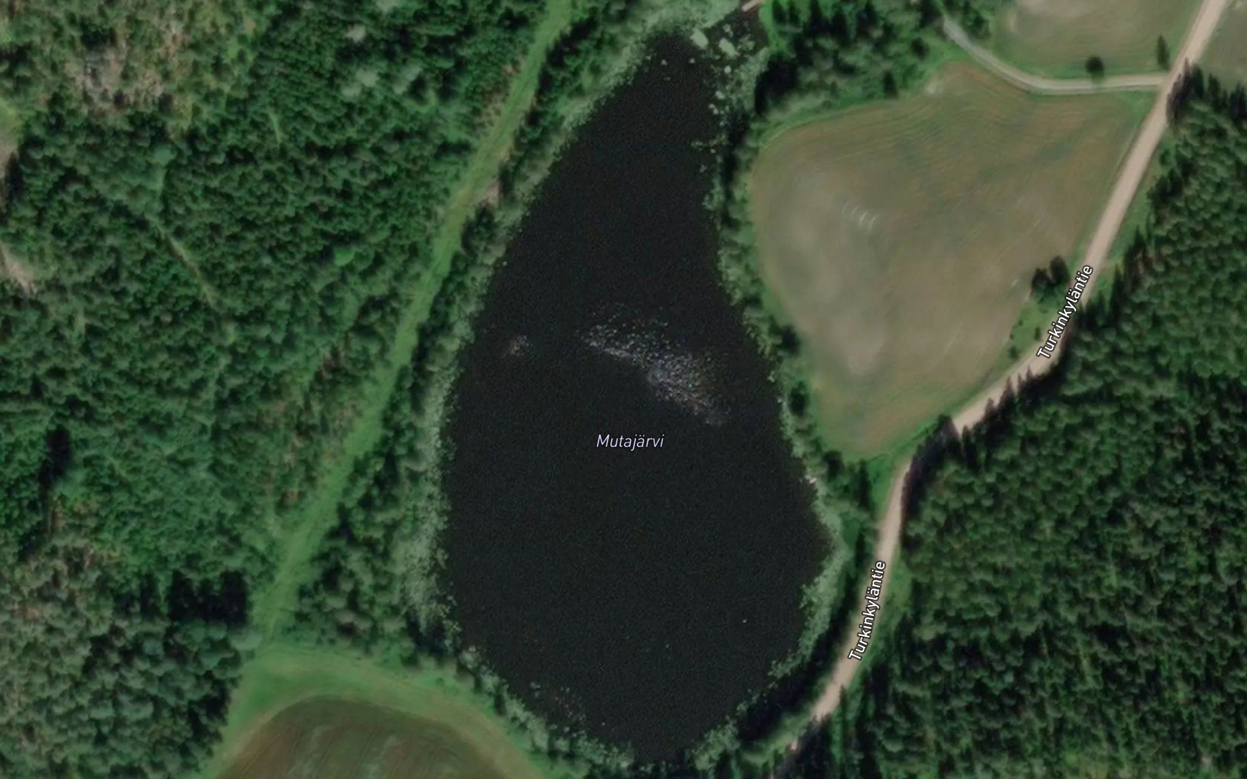 Mutajarvi