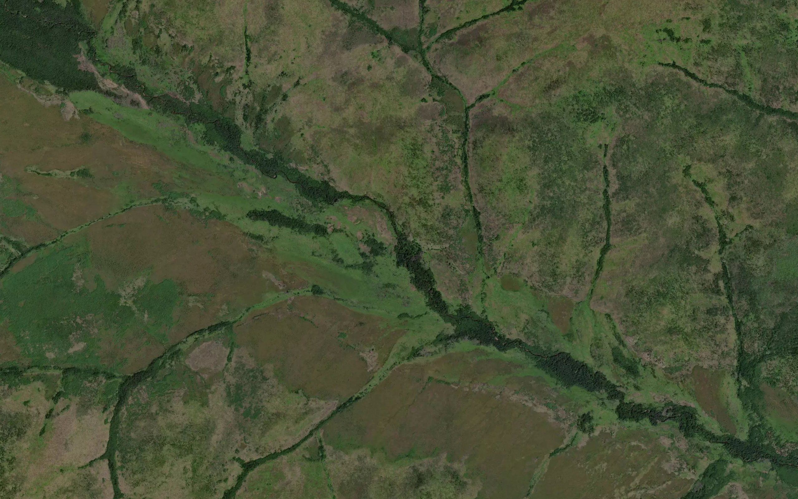 Tikhiy