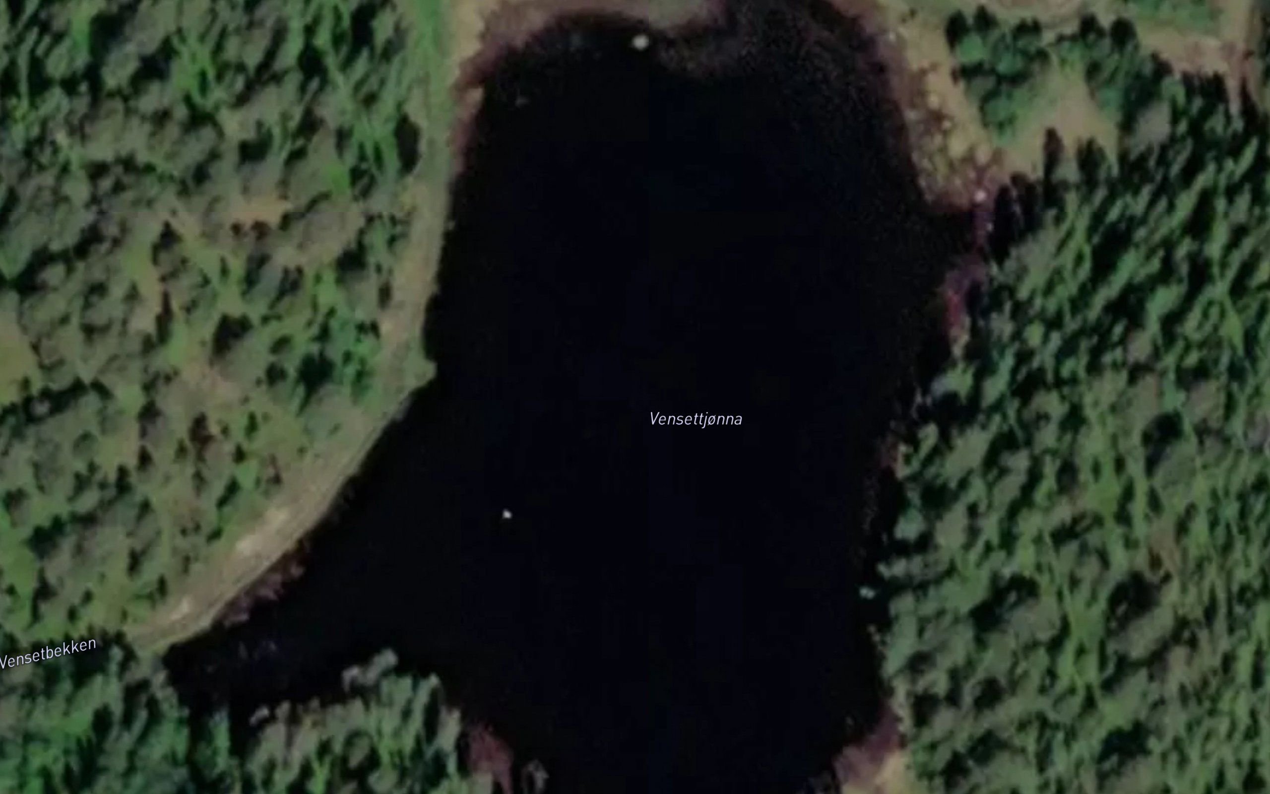 Vensettjorna