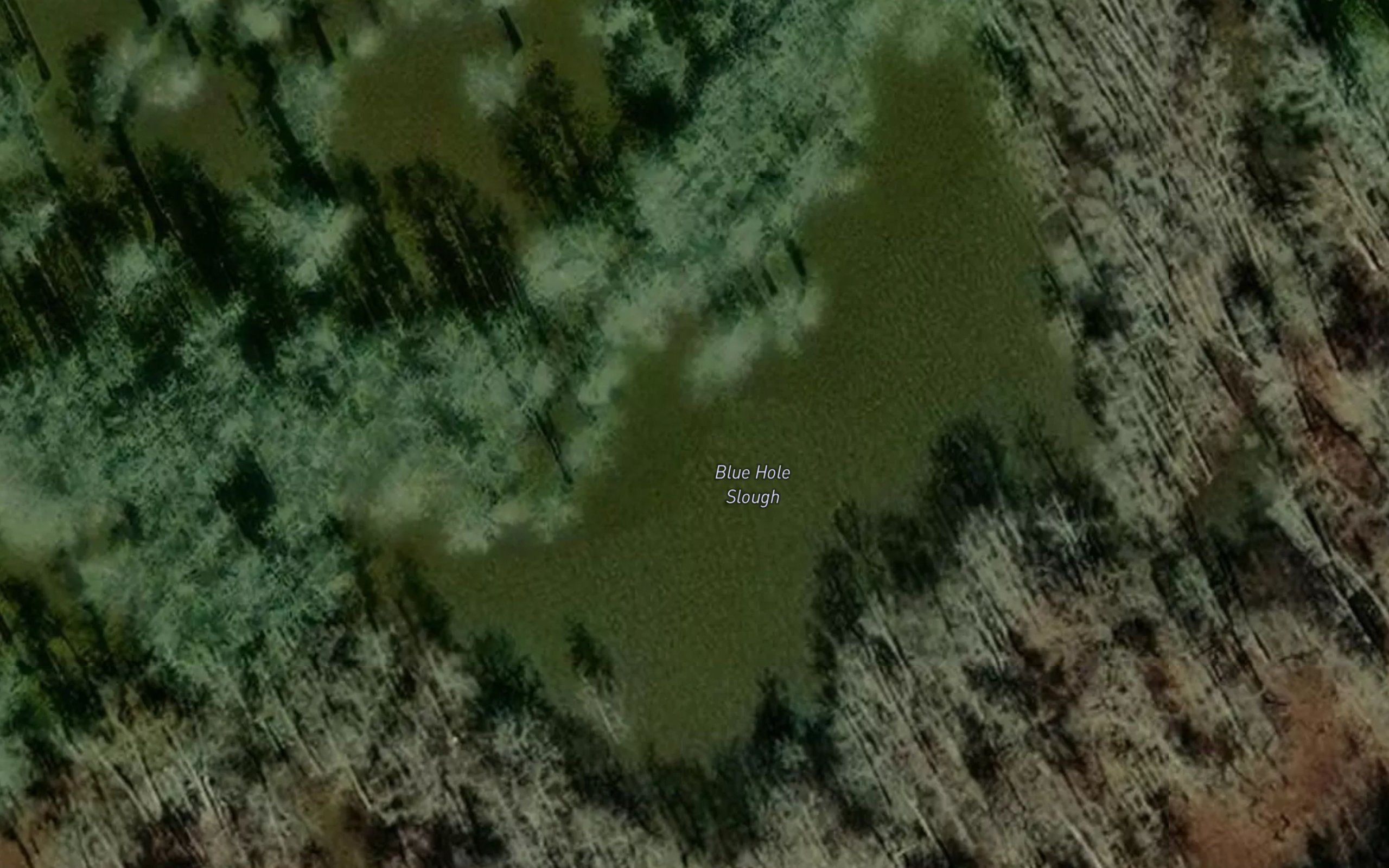 Blue Hole Slough