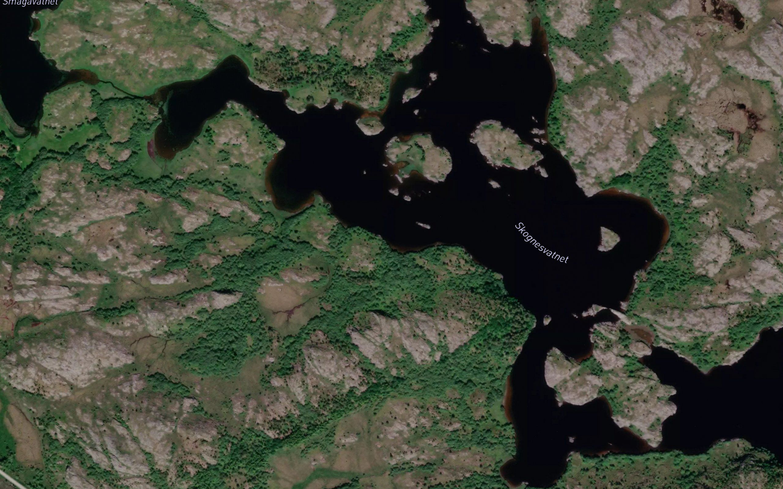 Skognesvatnet