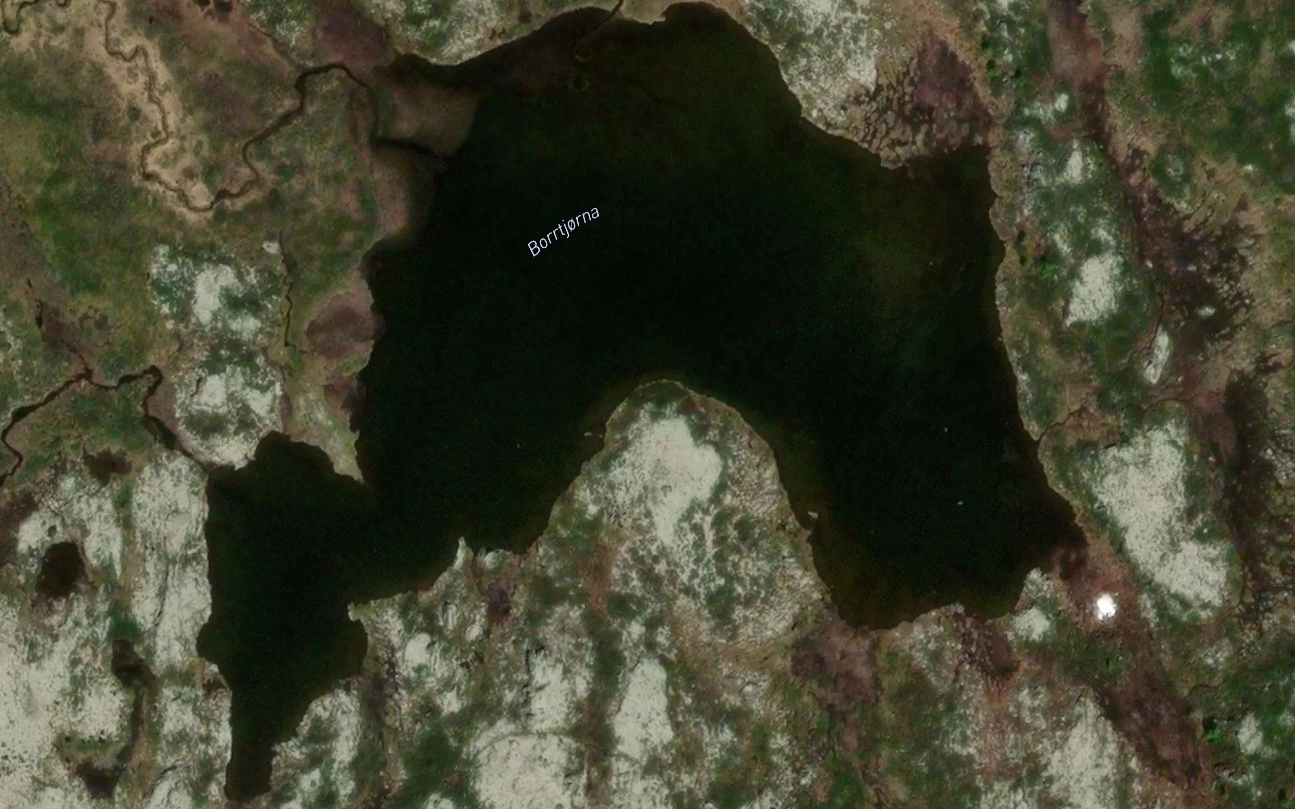 Borrtjorna