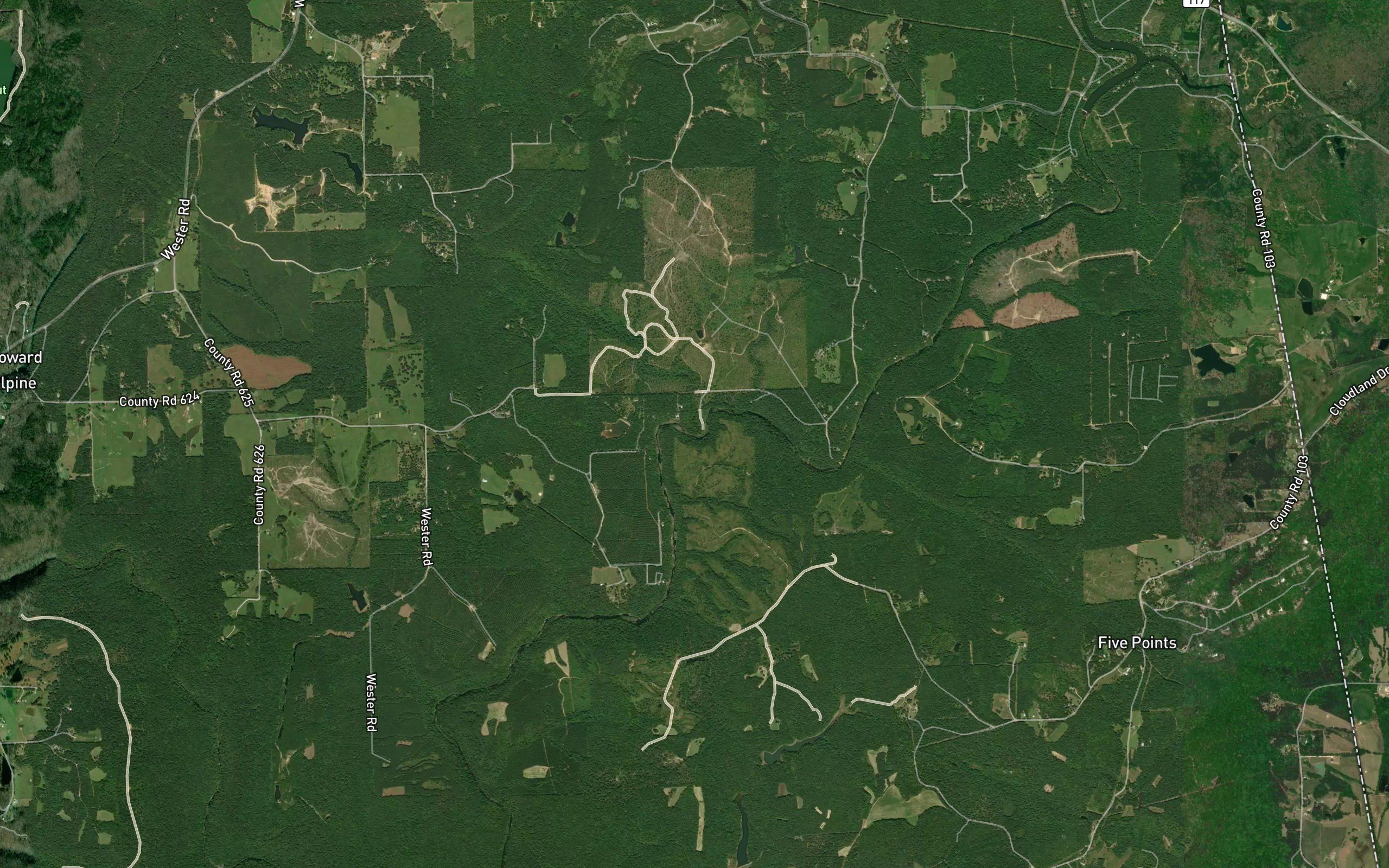 Laurel Creek