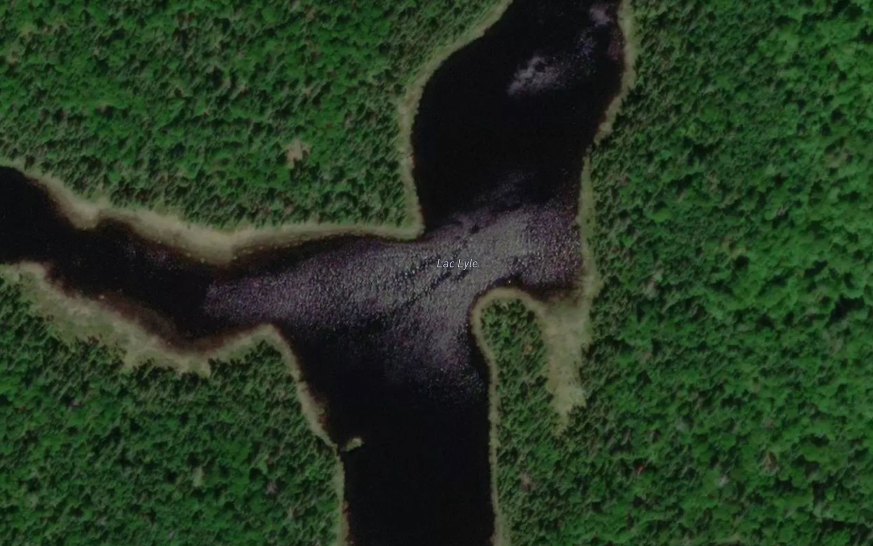 Satellite map of the Lac Lyle
