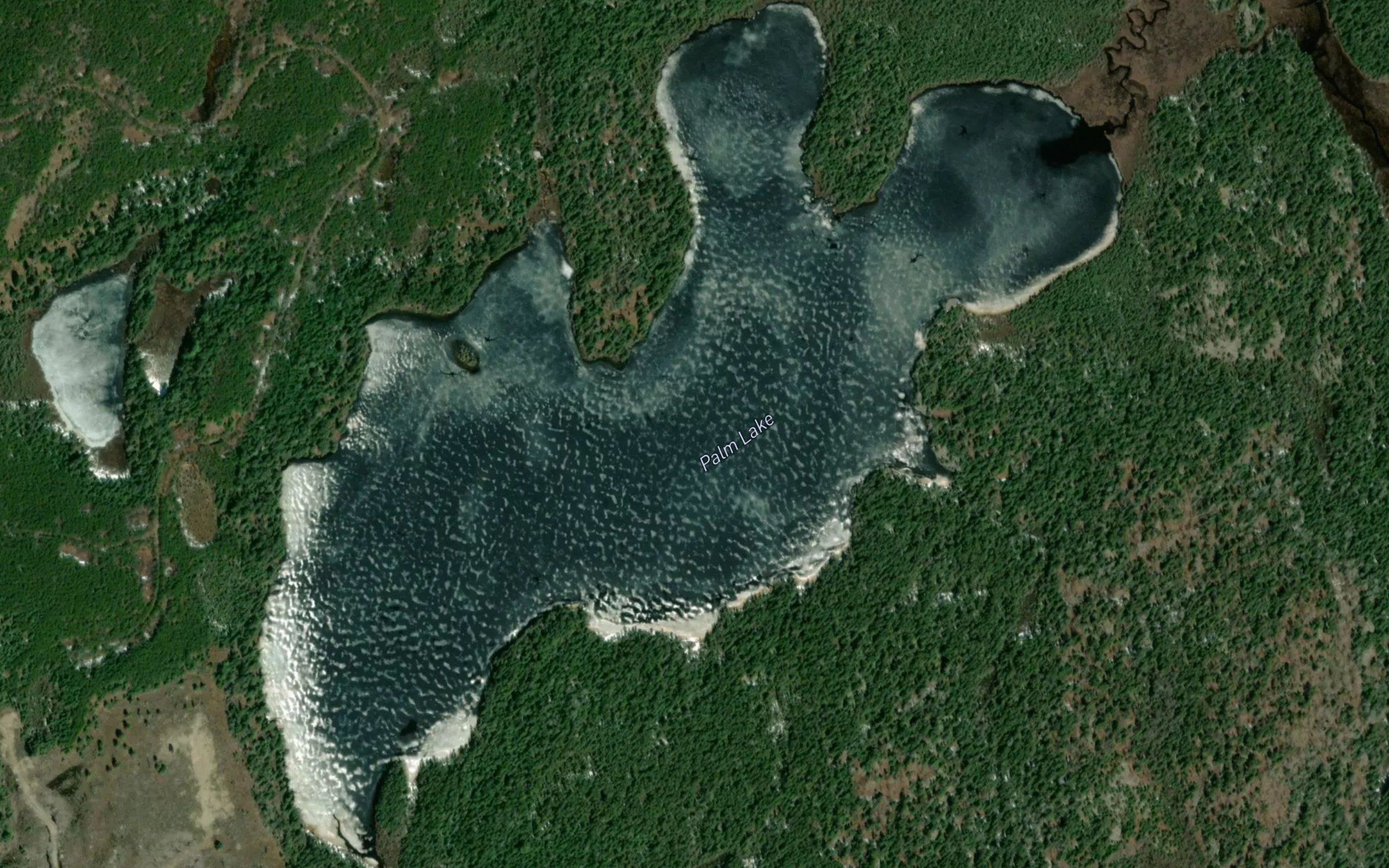 Palm Lake