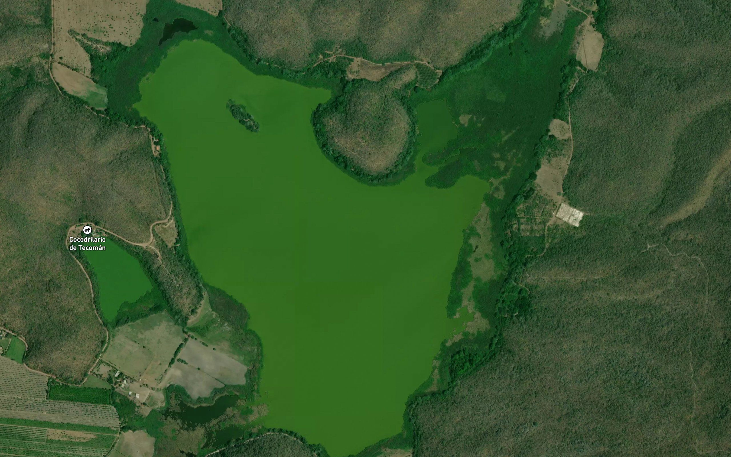 Laguna Alcozahue