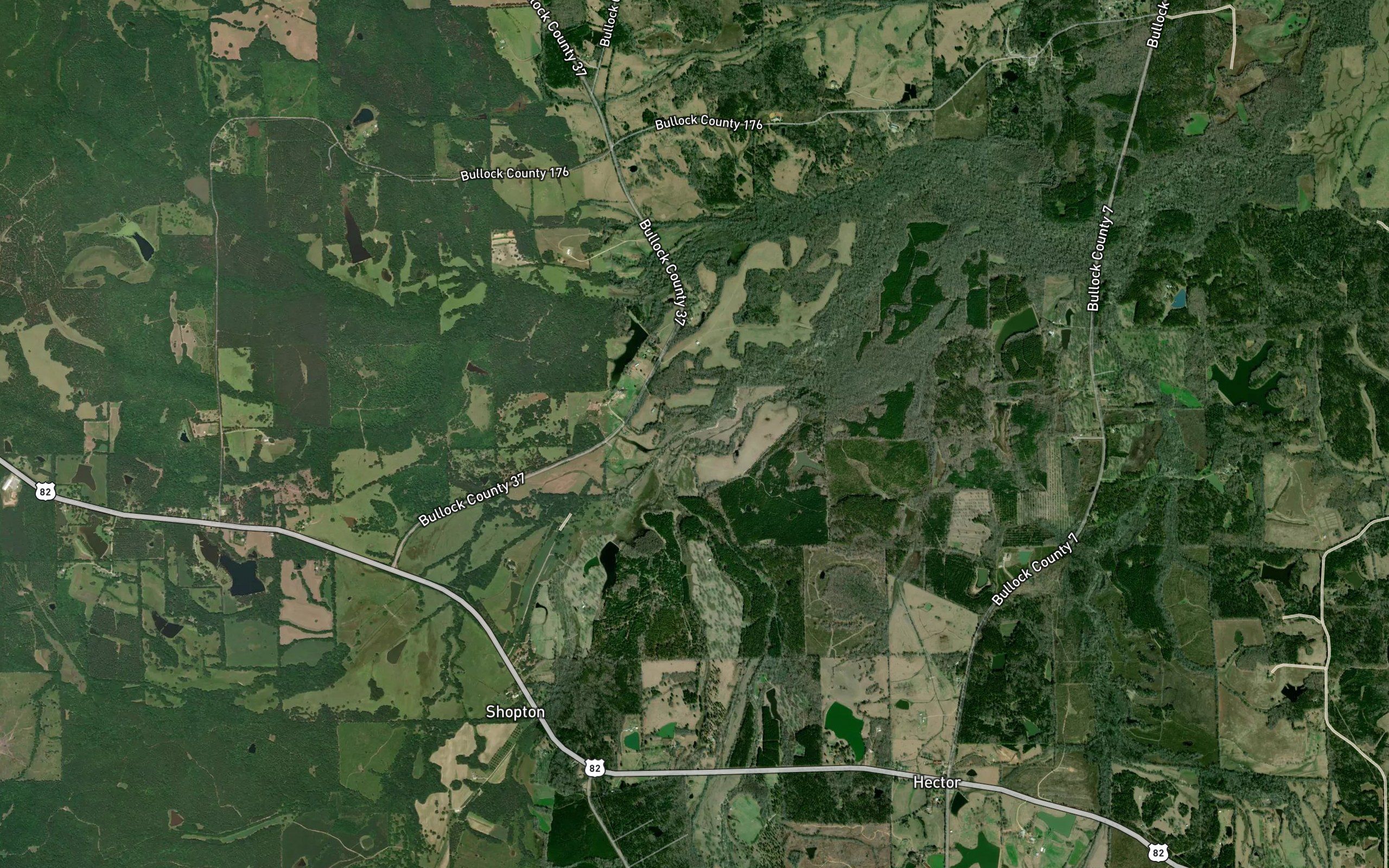 Colman Creek