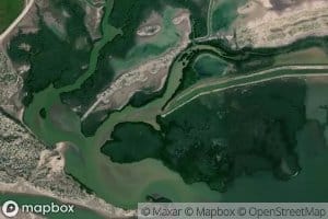 Colector Principal Numero Uno