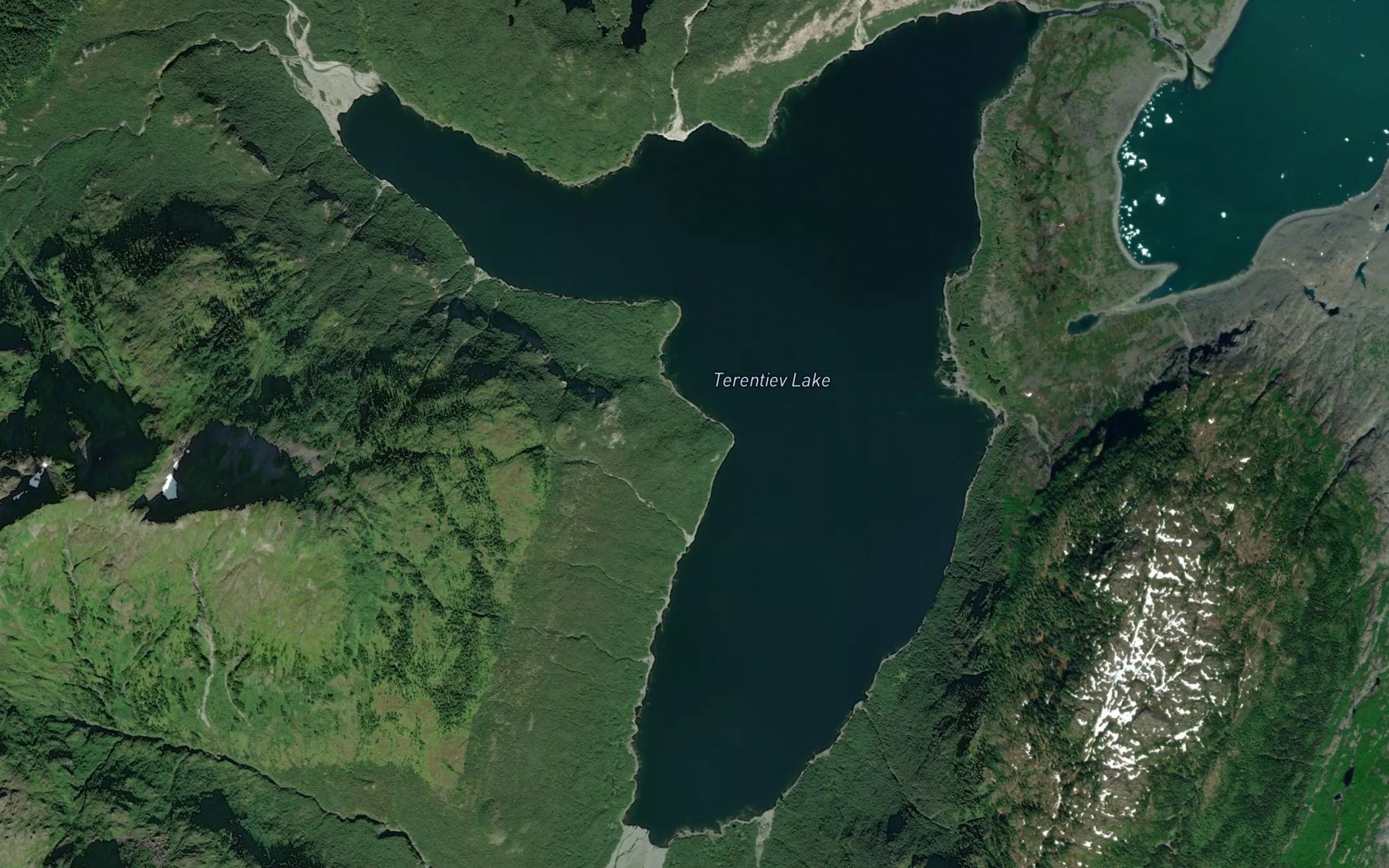 Satellite map of the Terentiev Lake