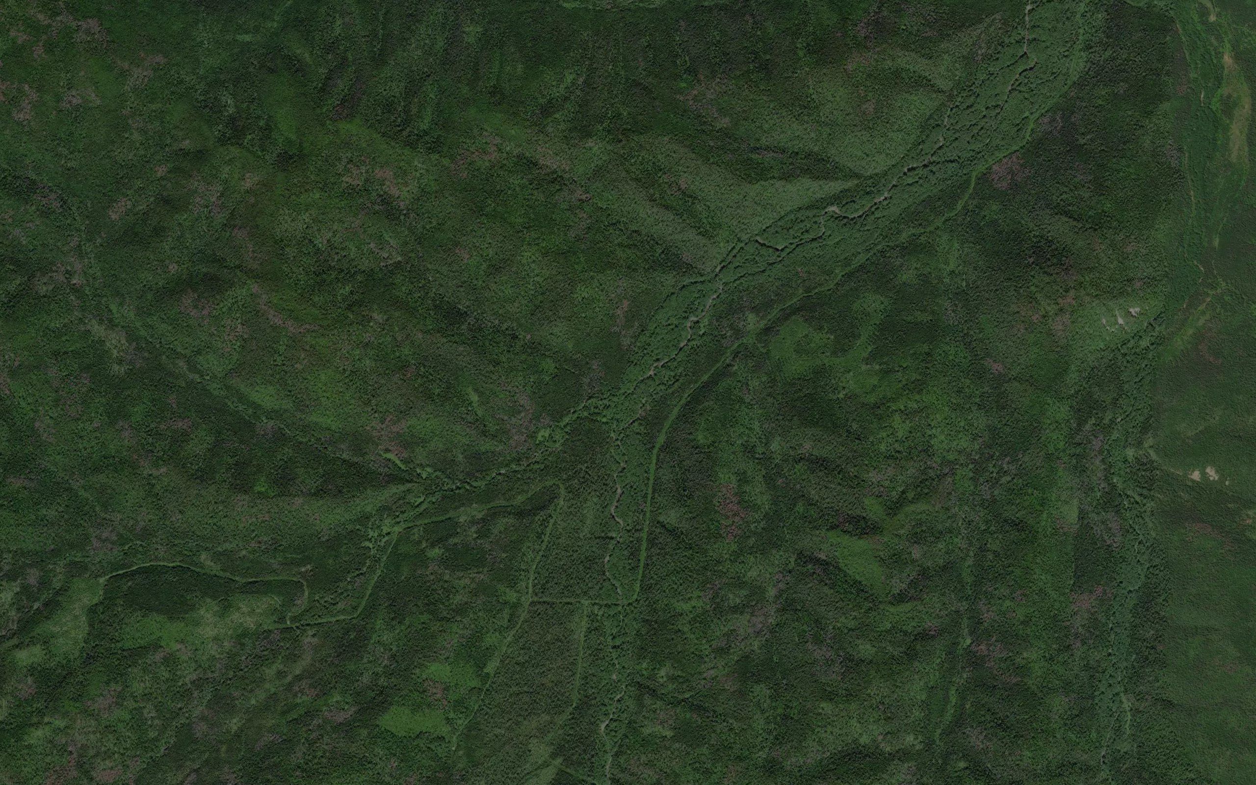 Vladimirskiy