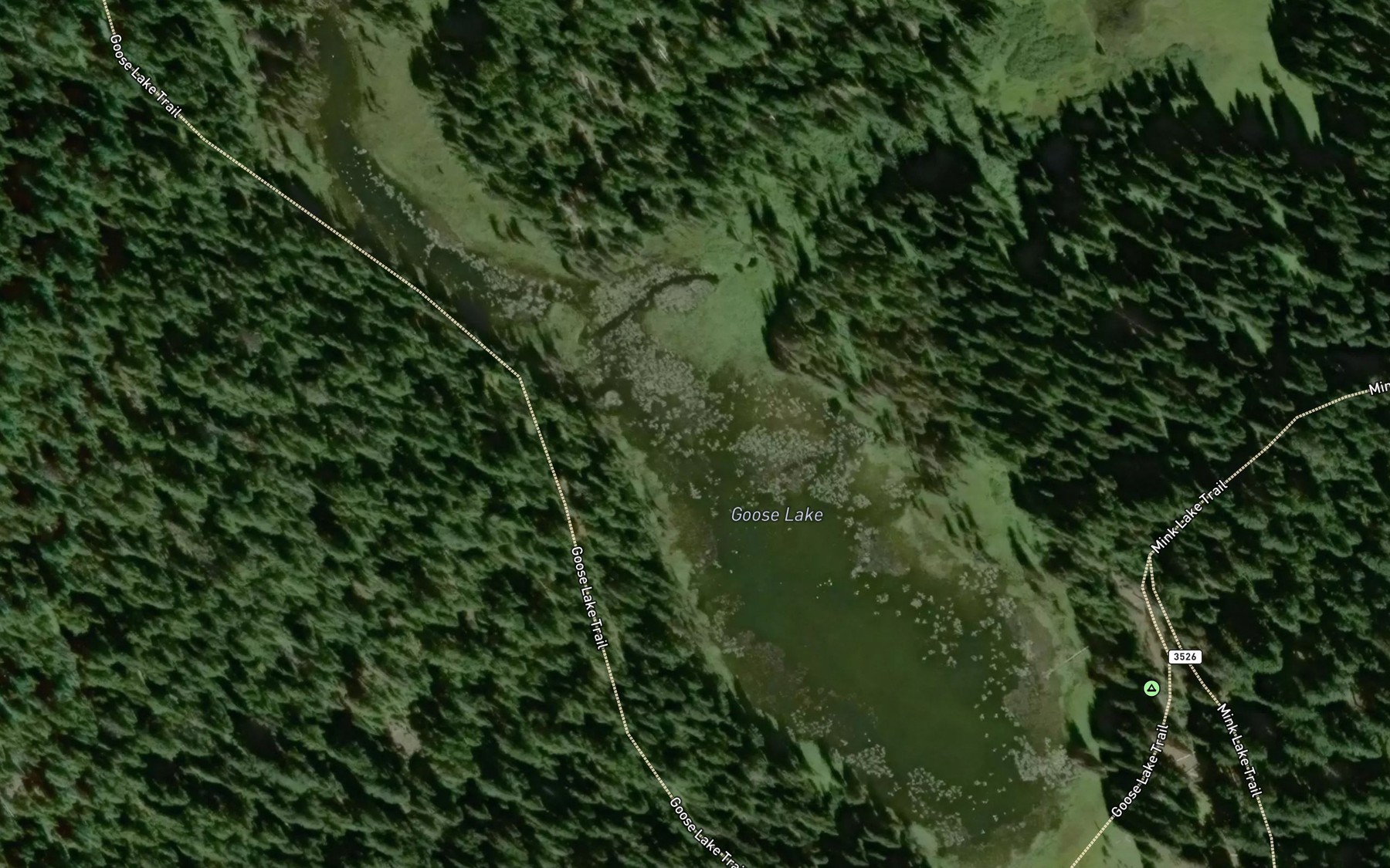 Satellite map of the Goose Lake