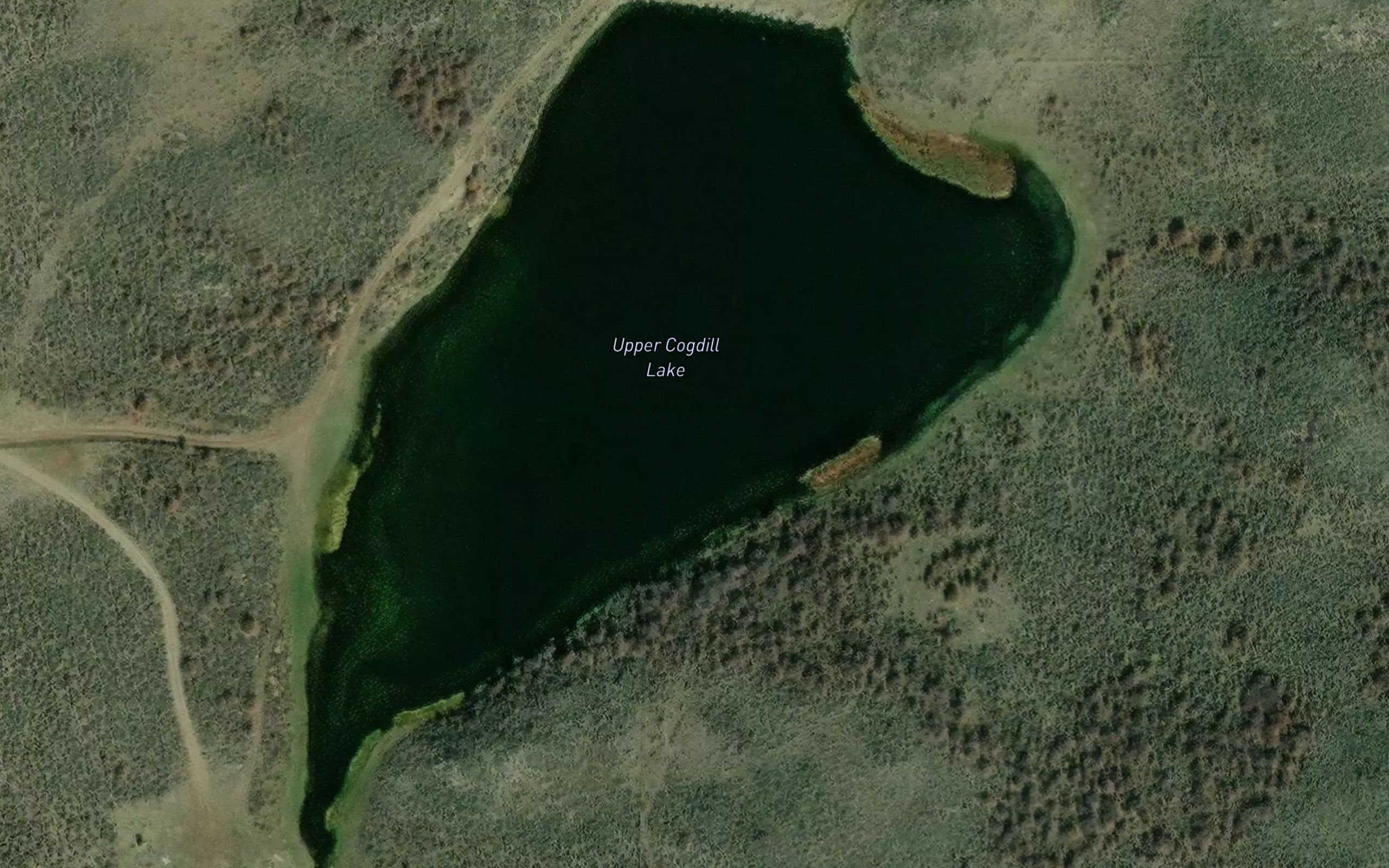 Upper Cogdill Lake