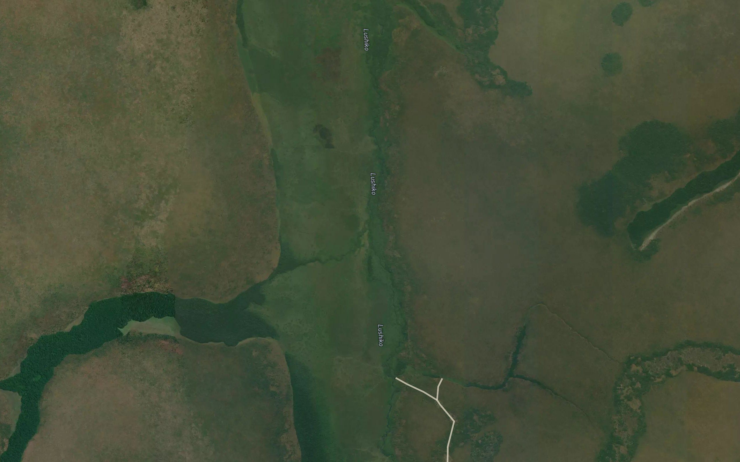 Luangingi