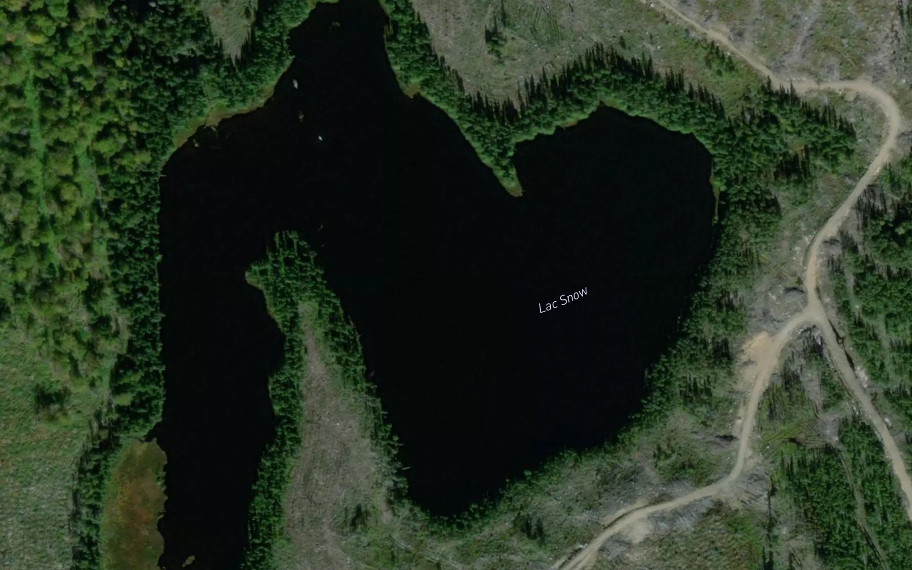 Satellite map of the Lac Snow