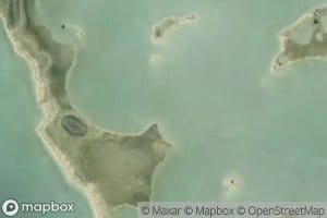 Big Coppice Mangrove