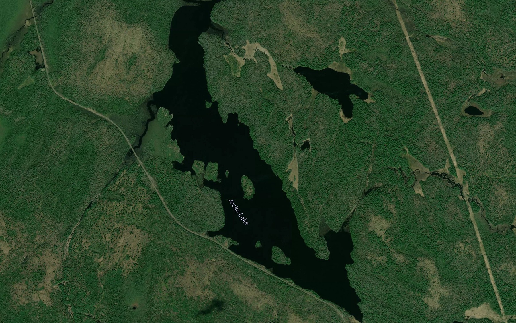 Satellite map of the Jocko Lake