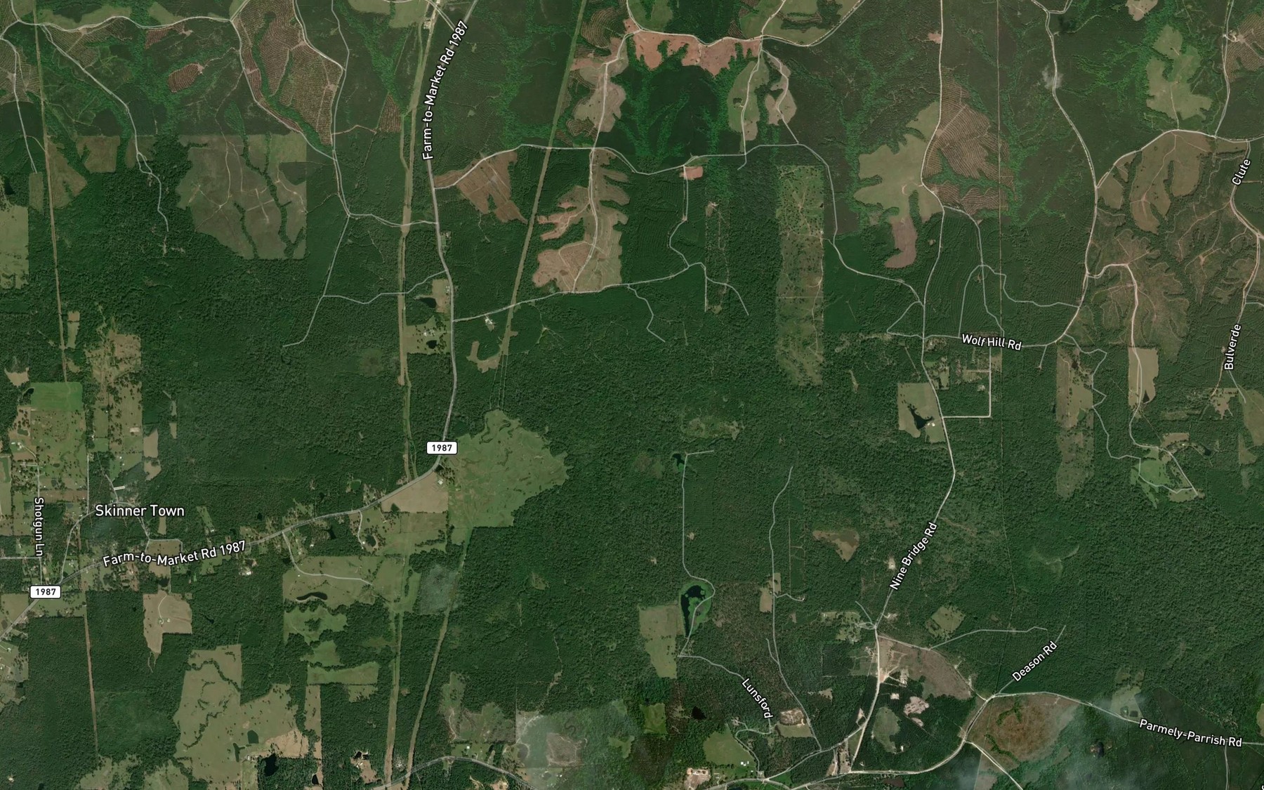 Satellite map of the Sandy Branch