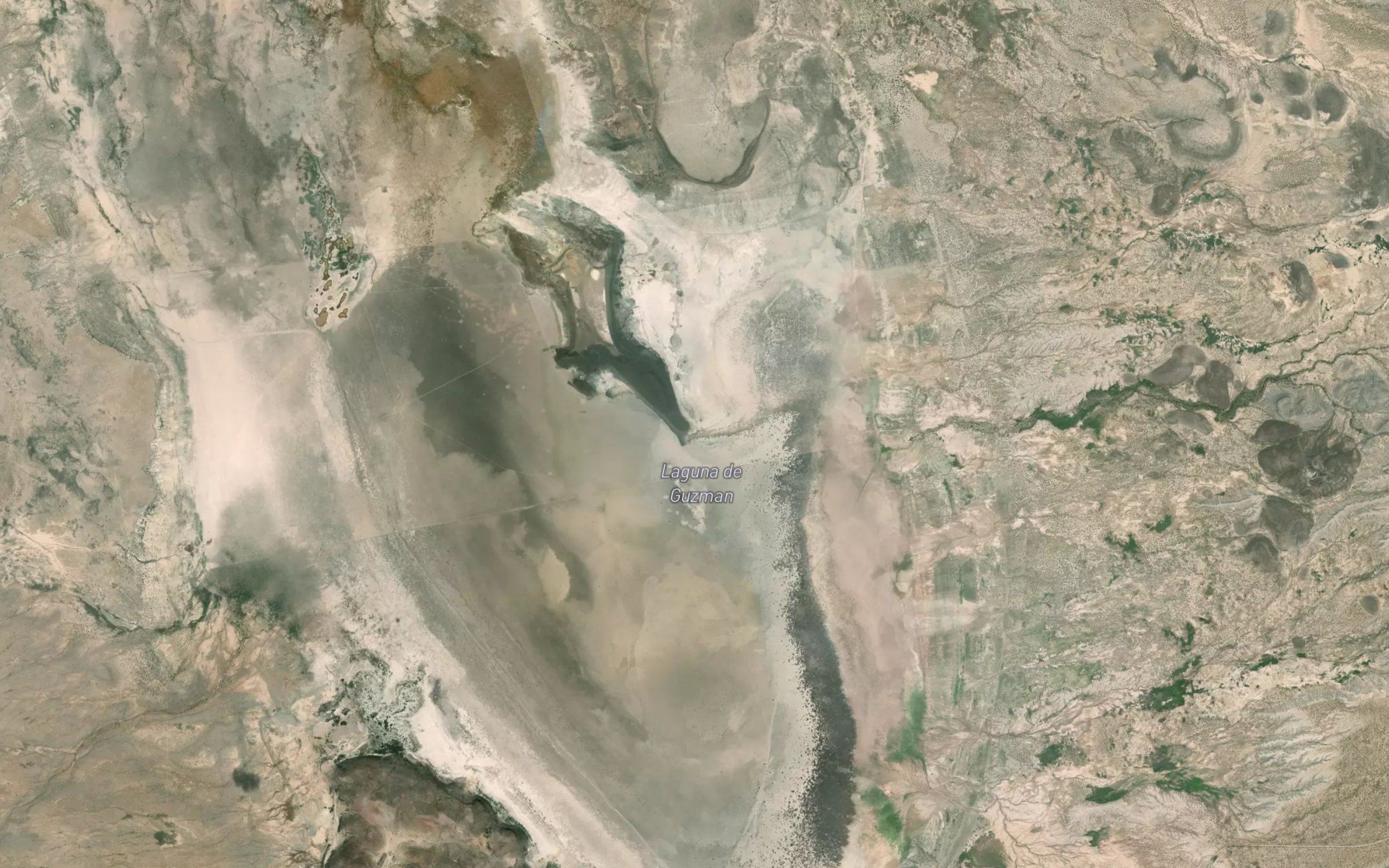 Laguna de Guzman