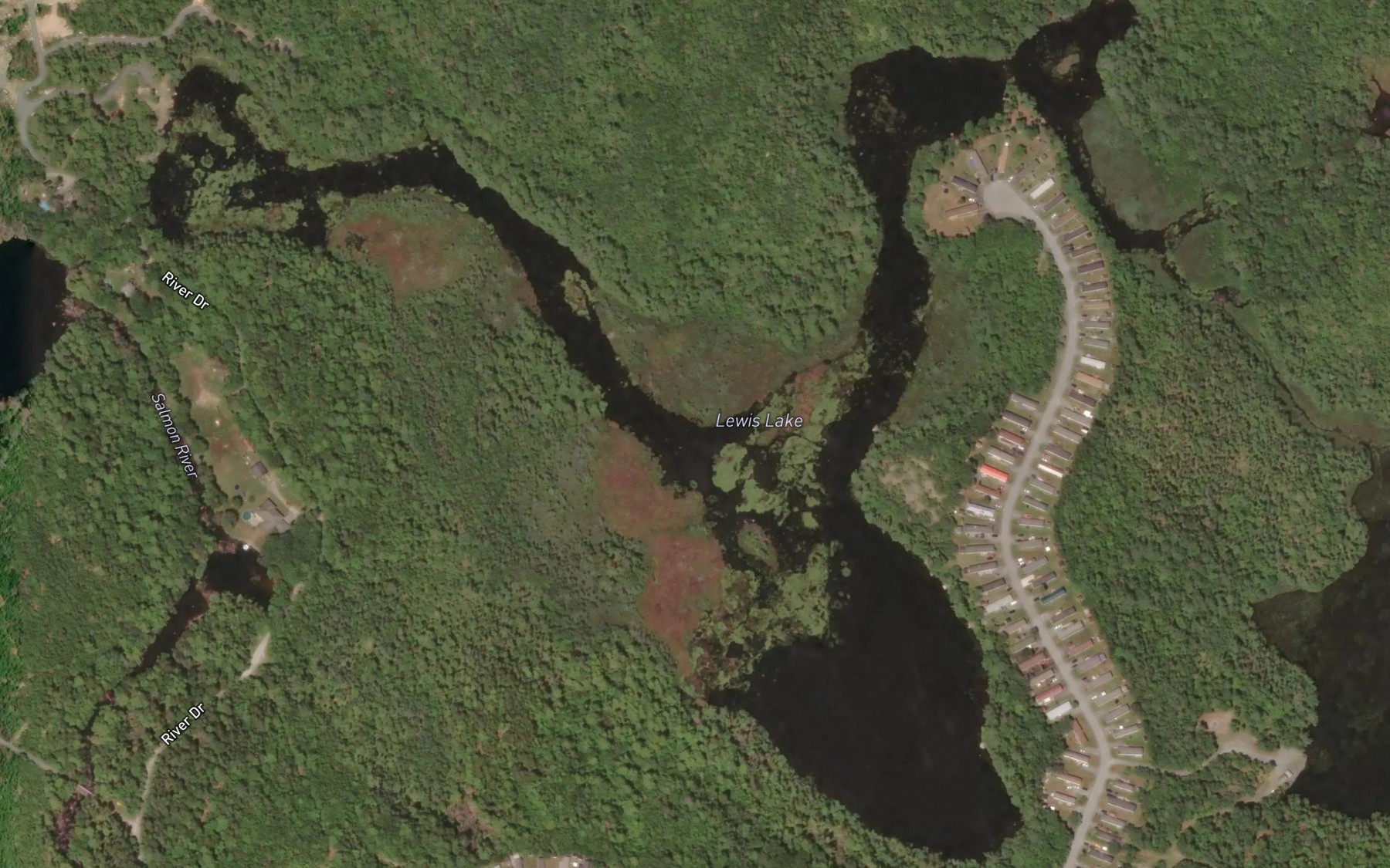 Satellite map of the Lewis Lake