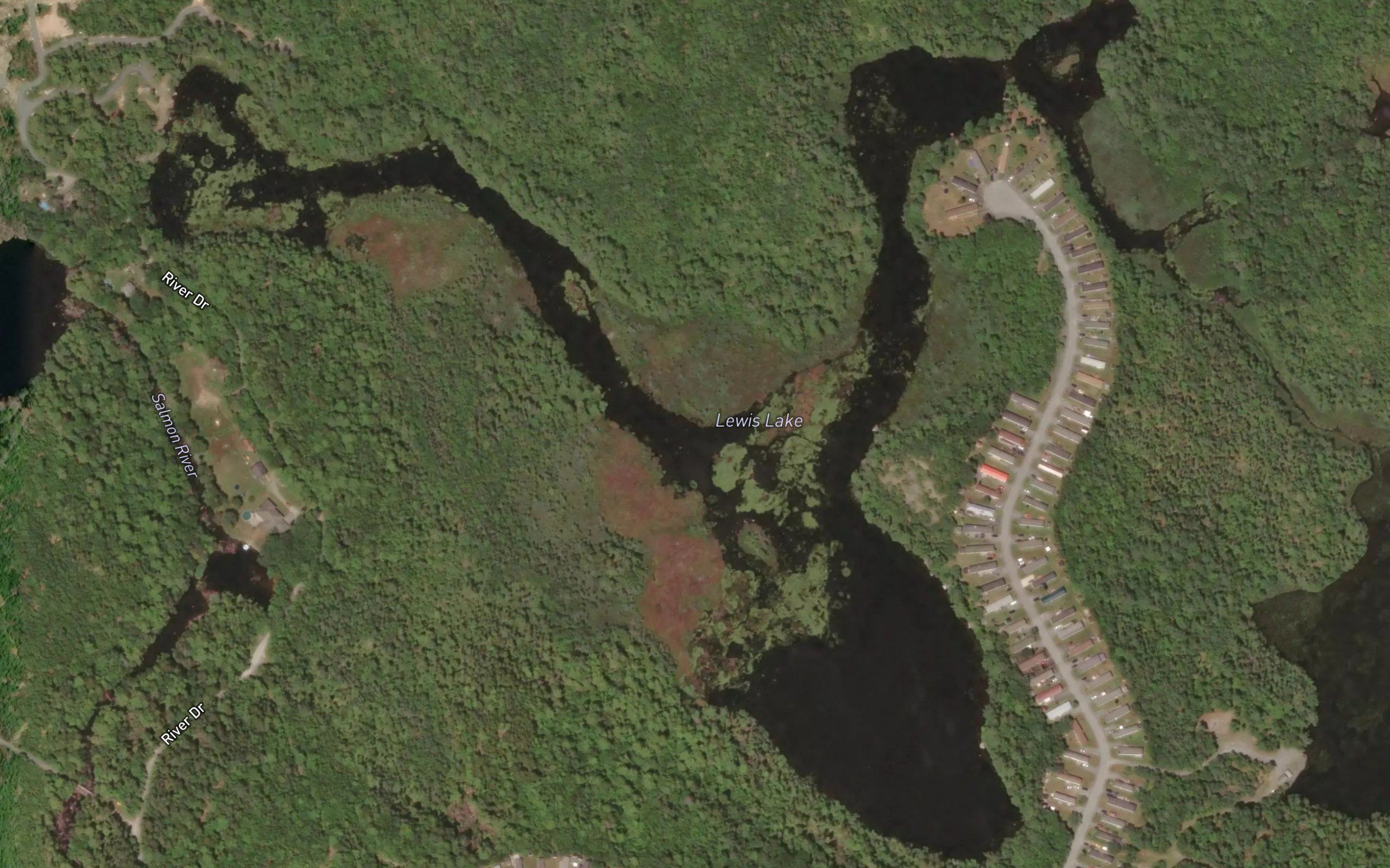 Lewis Lake